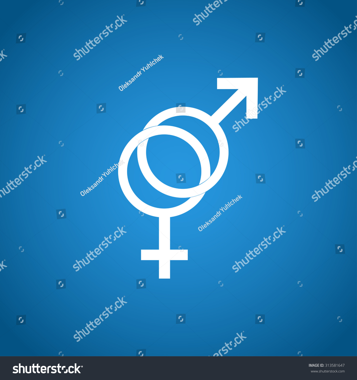 Male Female Sex Symbol Vector Illustration Stock Vector Royalty Free 313581647 Shutterstock 