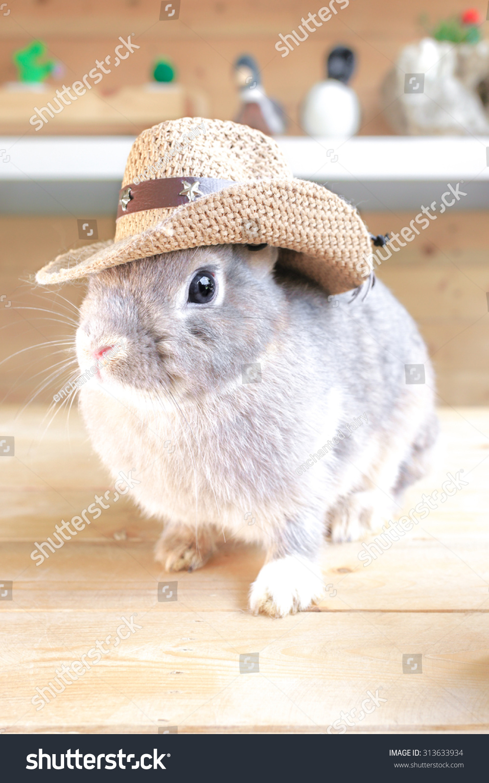 rabbit with cowboy hat