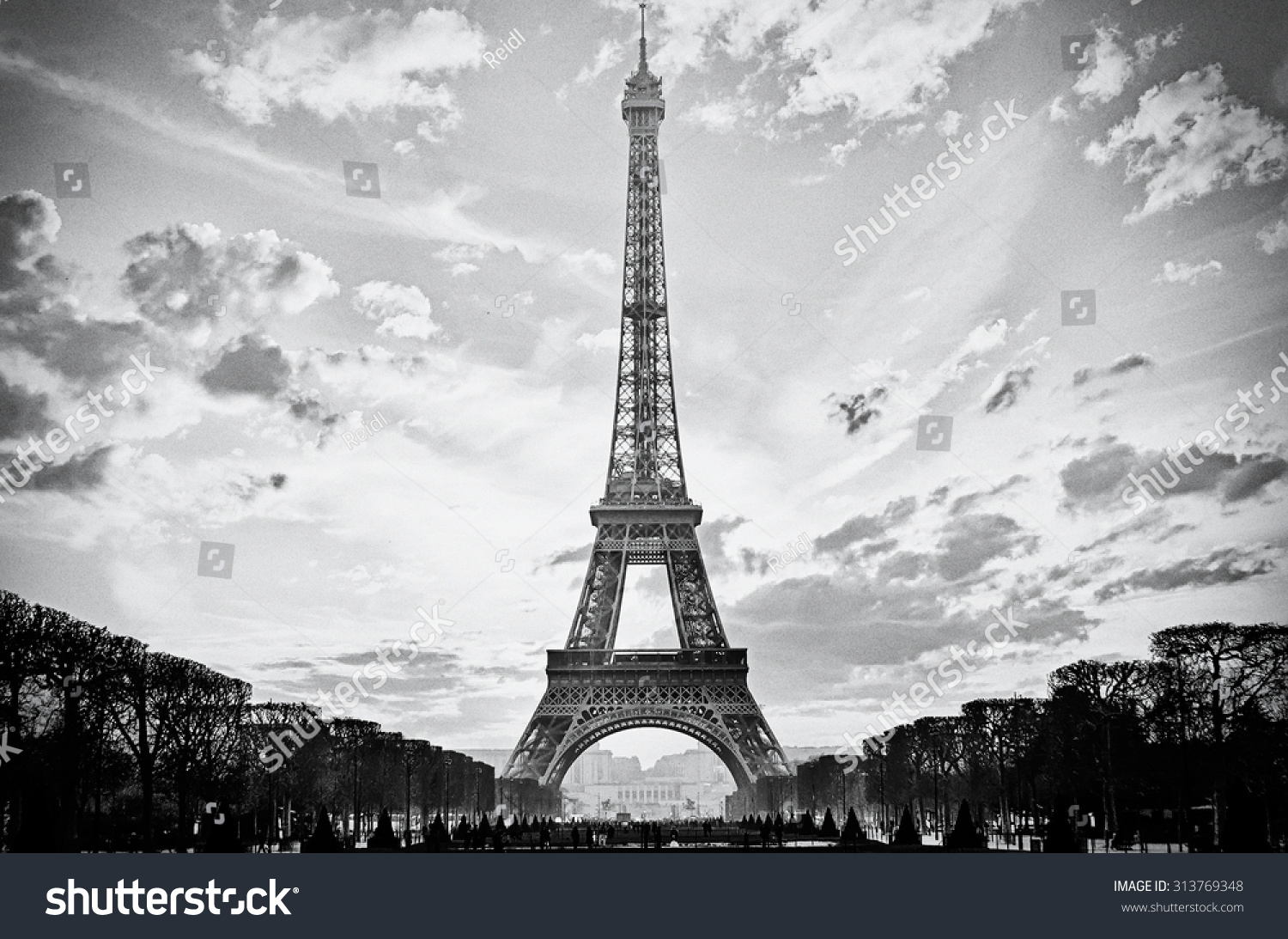 Париж картина черно белая