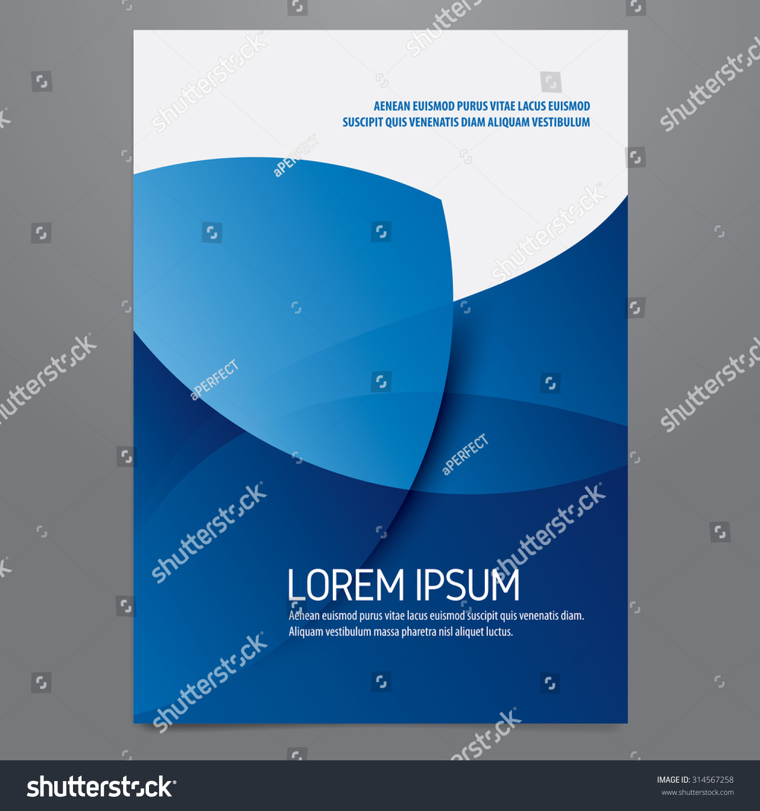 Vector Blue Brochure Annual Report Flyer Stock Vector (Royalty Free ...