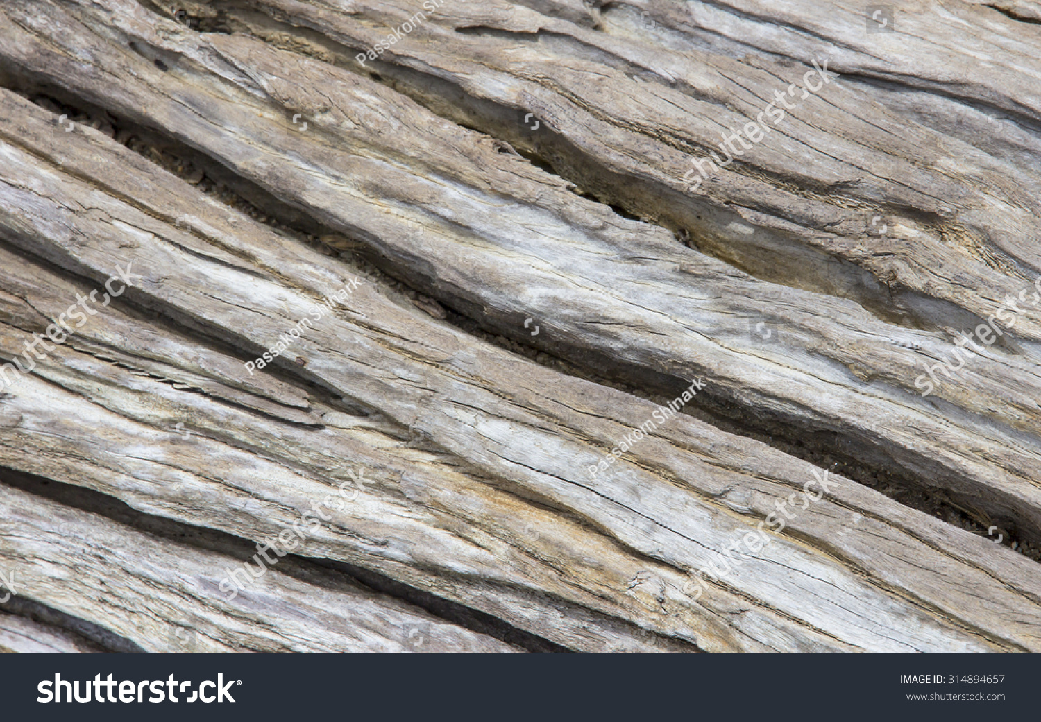 Old Cracked Wood Grain Texture Background Stock Photo 314894657 ...