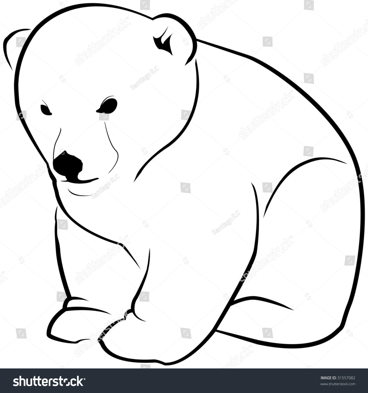 Белый медведь контурный рисунок