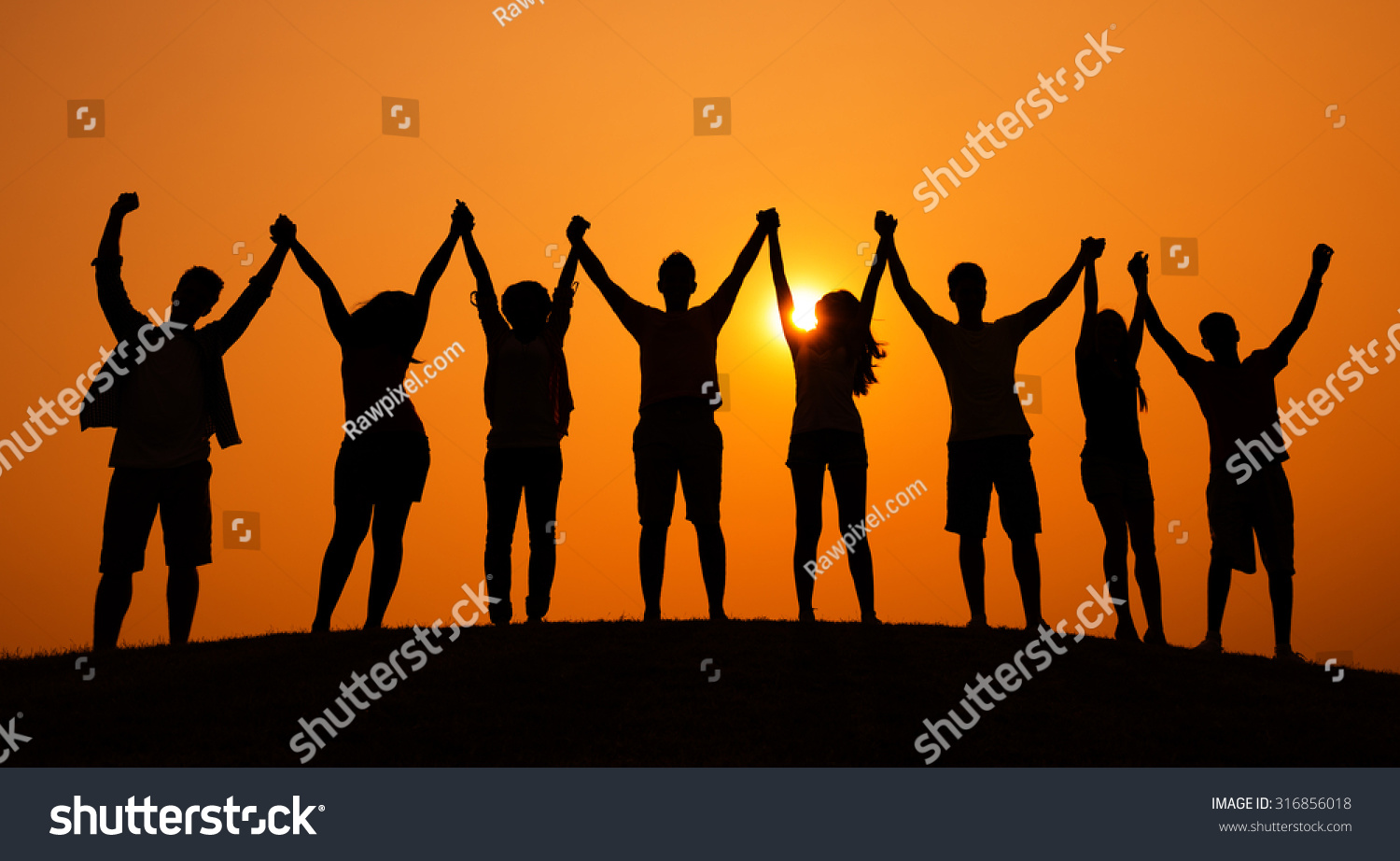 Group People Celebration Cheerful Sunset Concept Stock Photo 316856018 ...