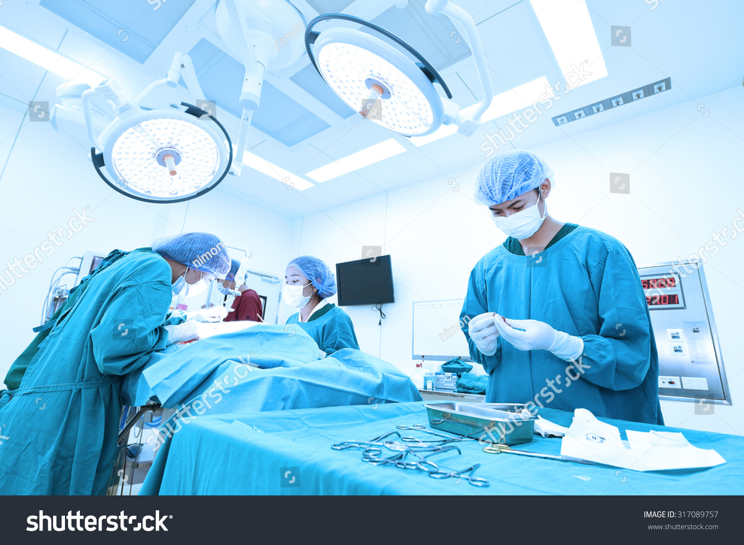 Group Veterinarian Surgery Operation Room Take Stock Photo 317089757 