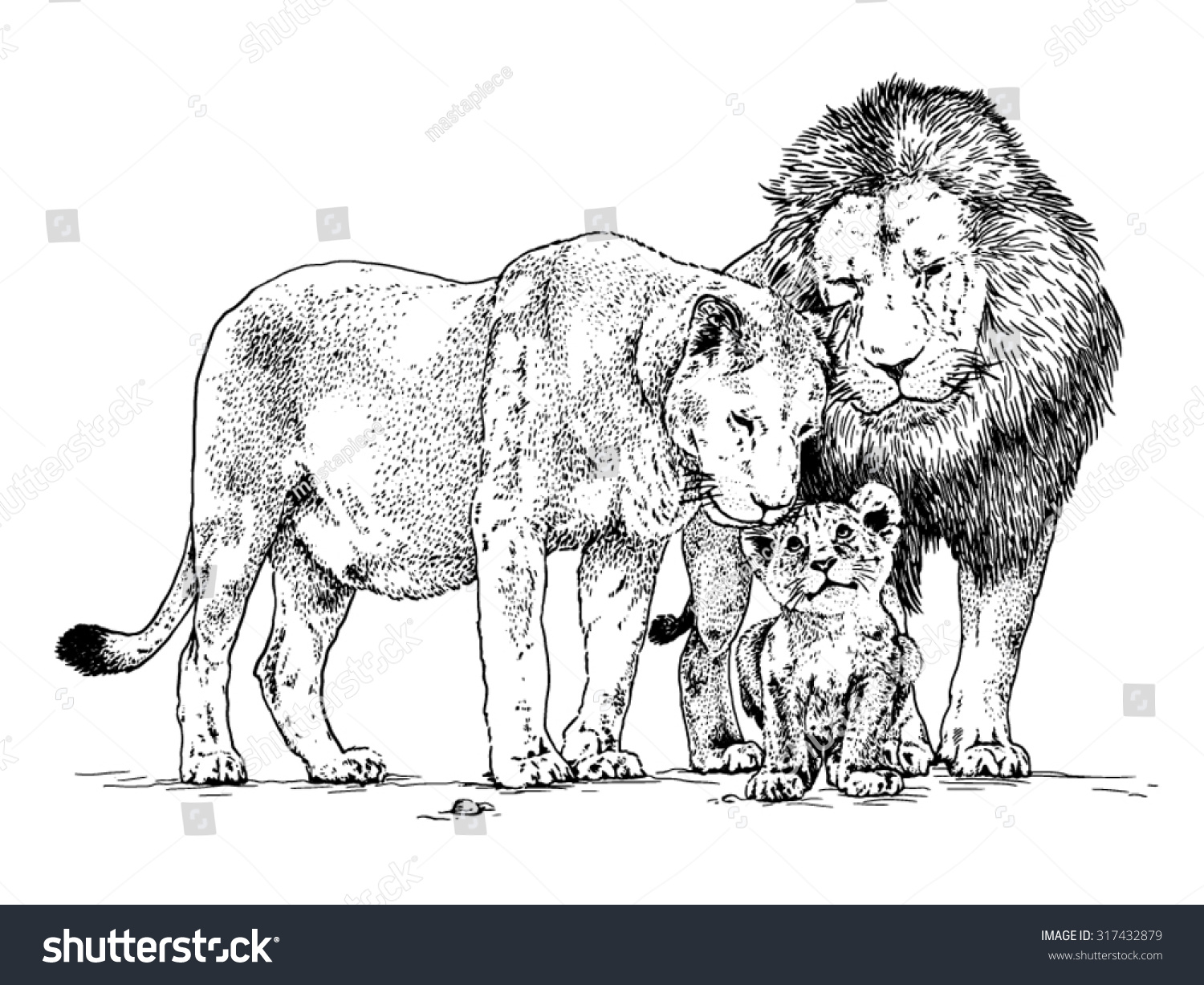 Раскраска семья Львов для детей