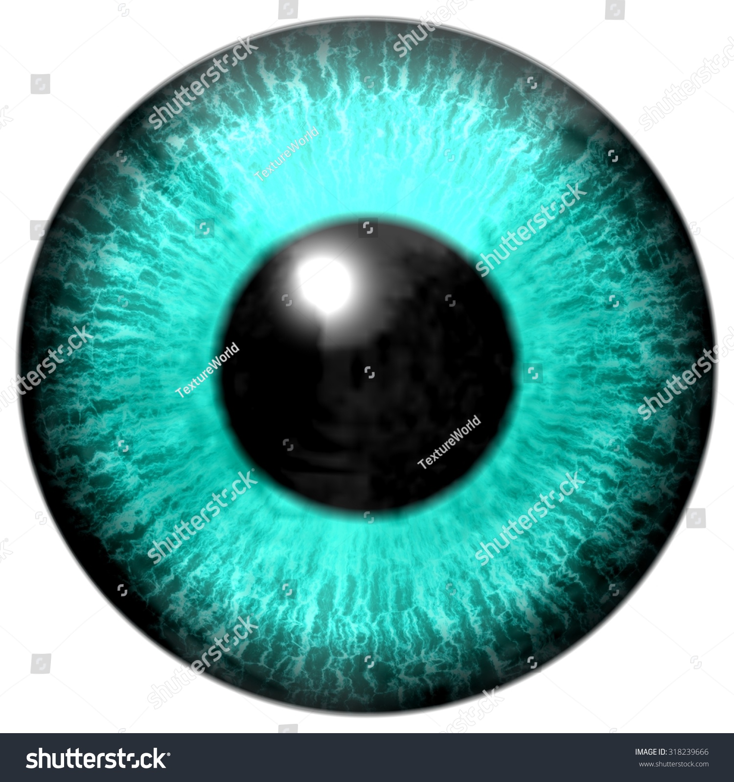 Detailed Realistic Eye Texture Isolated Stock Illustration 318239666 ...