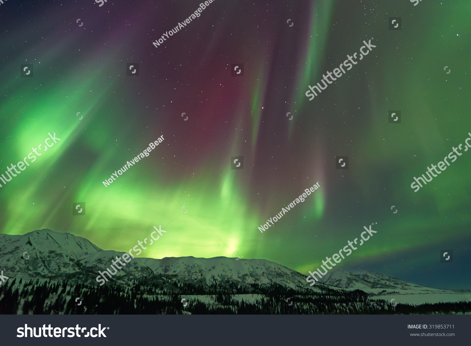 Aurora Borealis Northern Lights Over Snow Stock Photo 319853711 ...