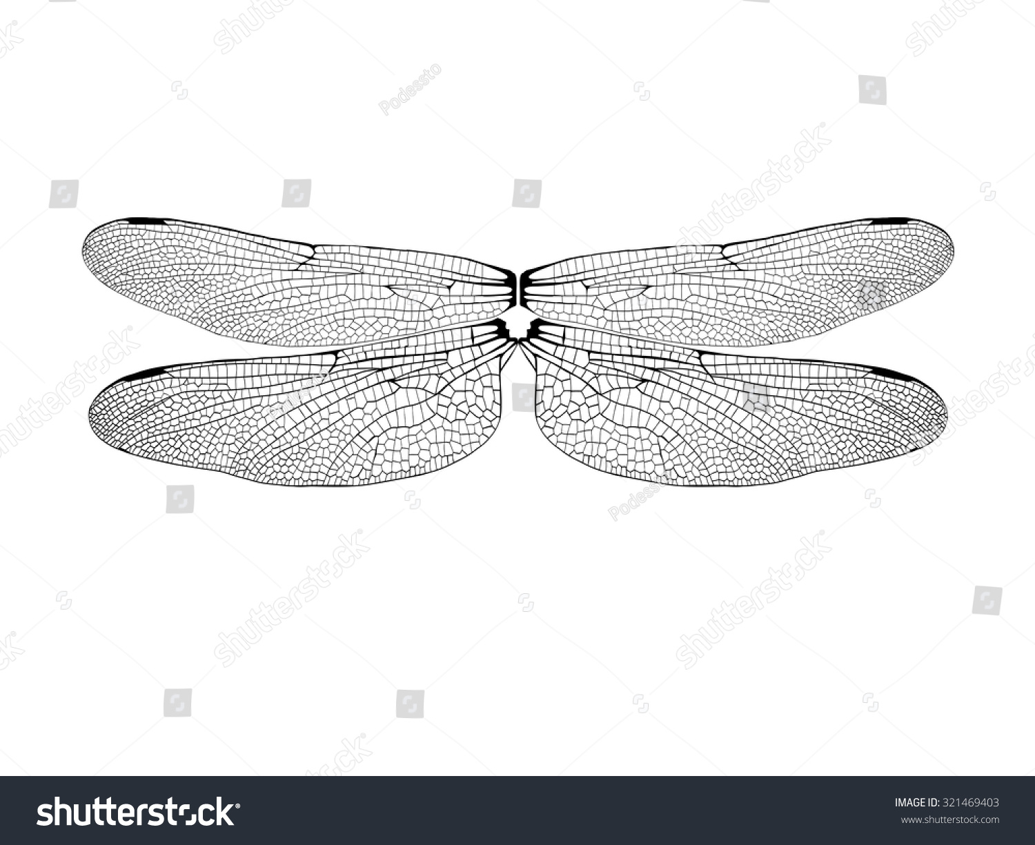 55,352 Dragonfly wings isolated Images, Stock Photos & Vectors ...