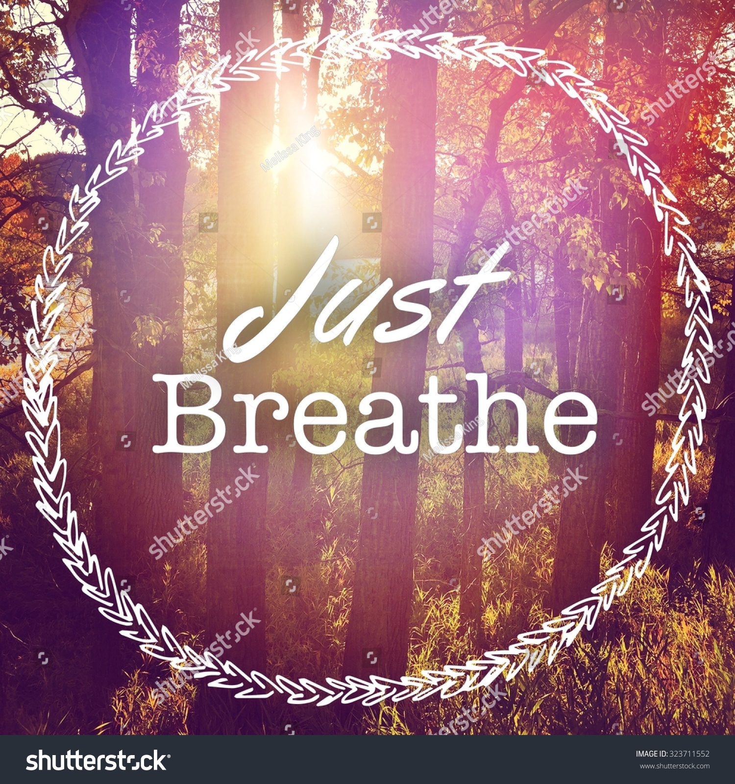 125 Just Breathe Text Stock Photos, Images & Photography | Shutterstock