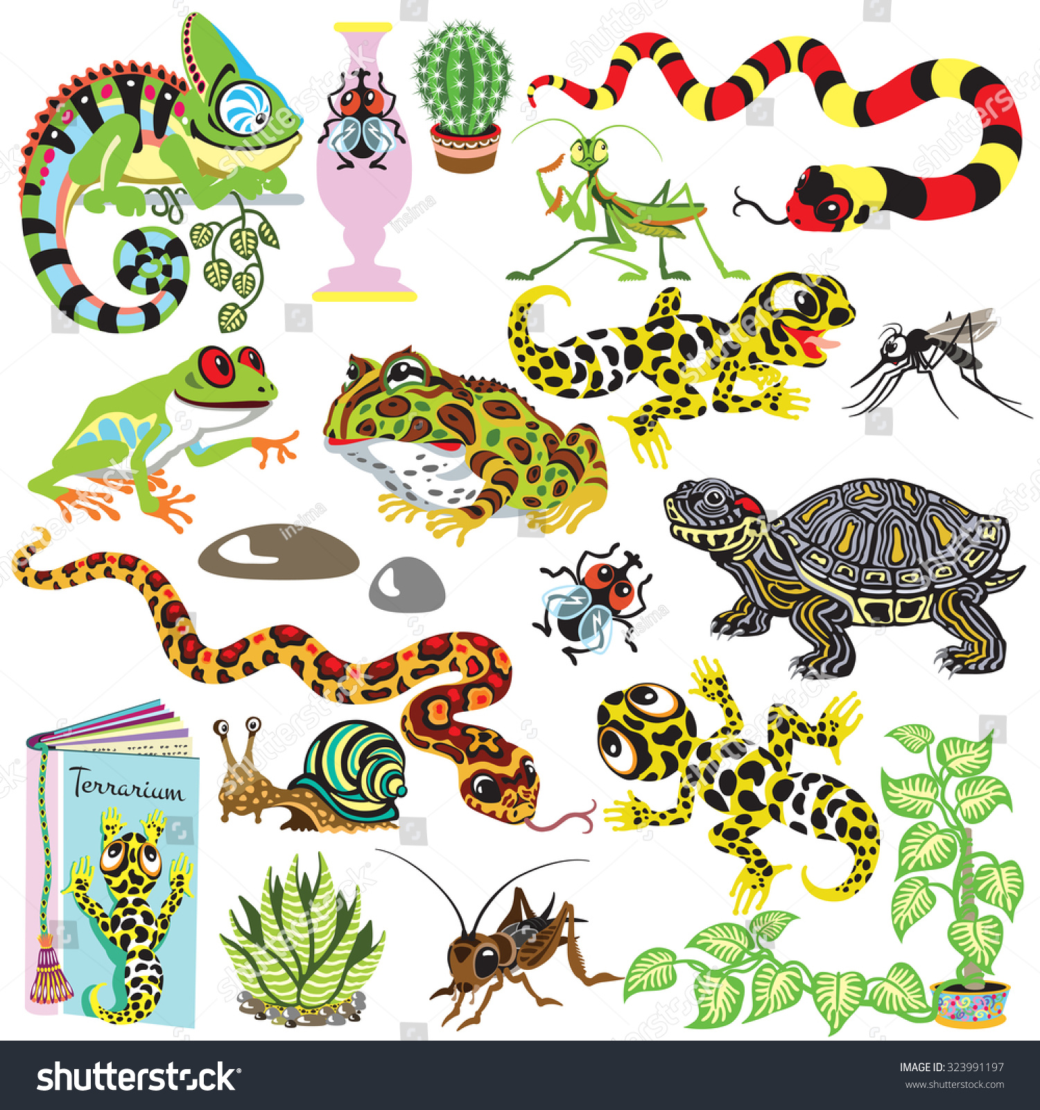 Reptiles Set Amphibians Insects Isolated Cartoon 库存矢量图（免版税）323991197 ...