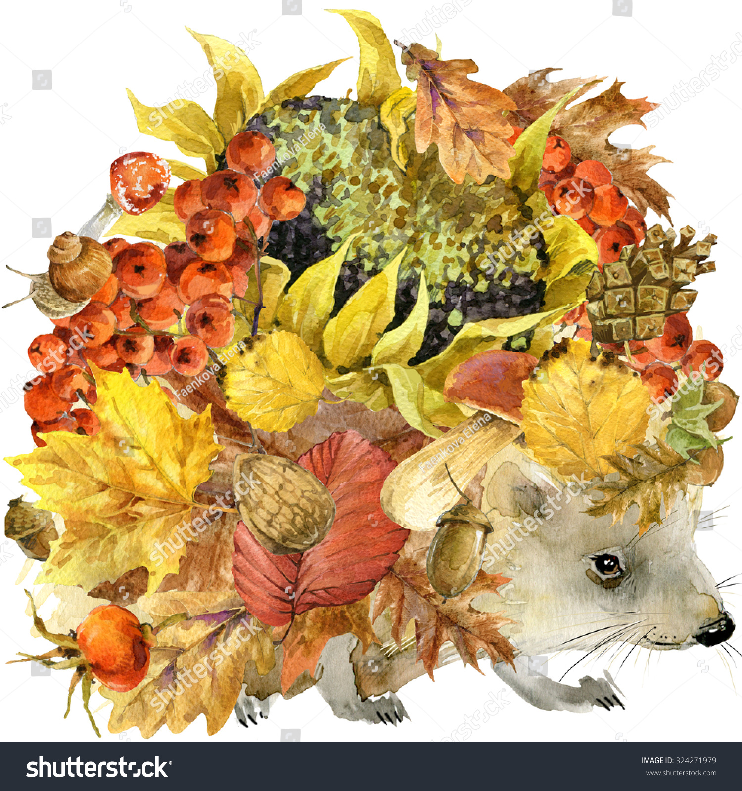 Рисование Ёжика с осенними листьями