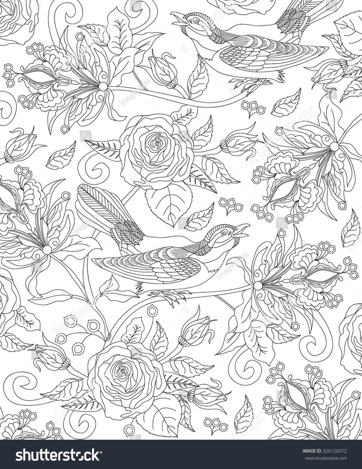 Hand Drawn Bird Coloring Page Stock Vector (Royalty Free) 326126072 ...