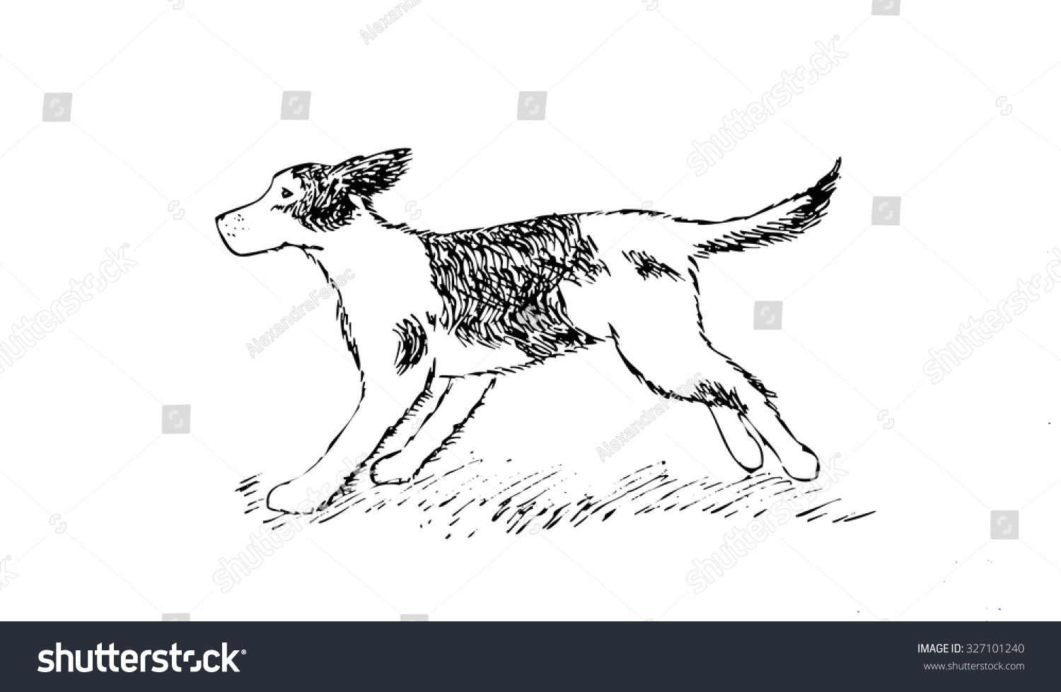 Бегущая собака рисунок карандашом