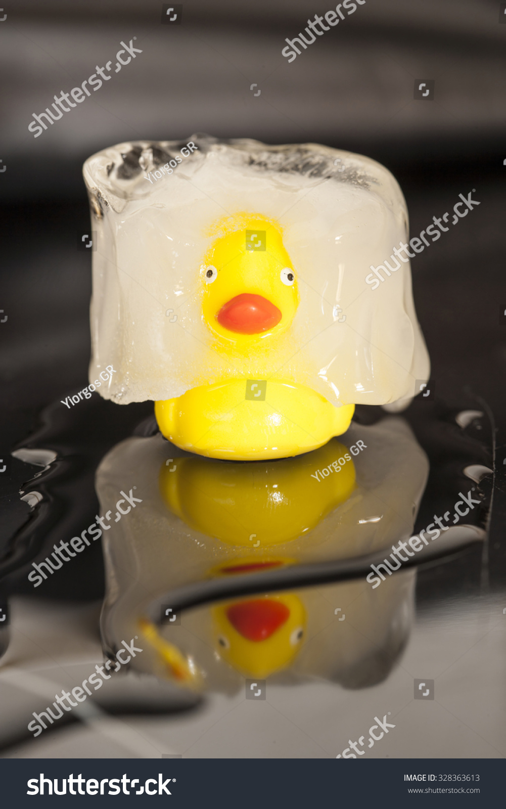 frozen rubber ducks