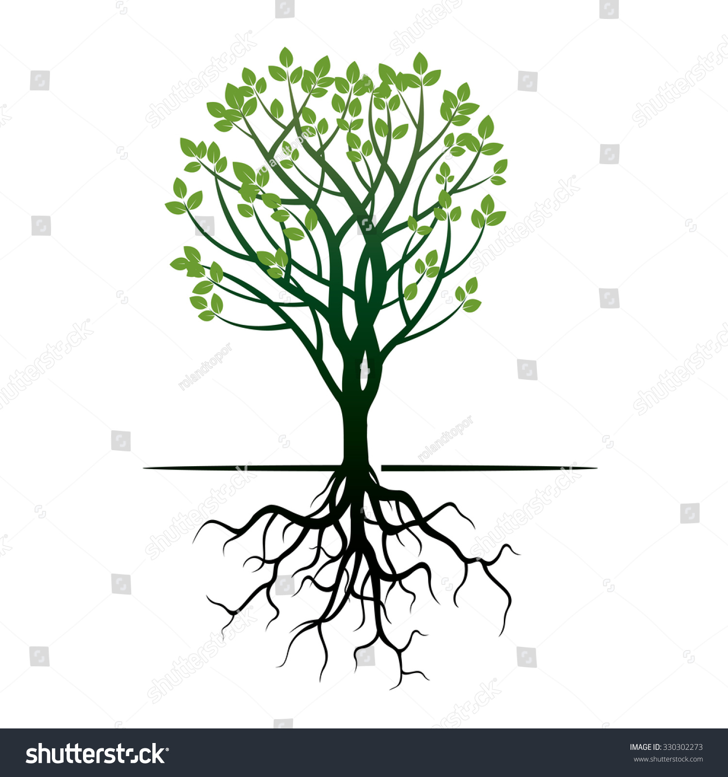 Green Tree Roots Vector Illustration Stock Vector (Royalty Free ...