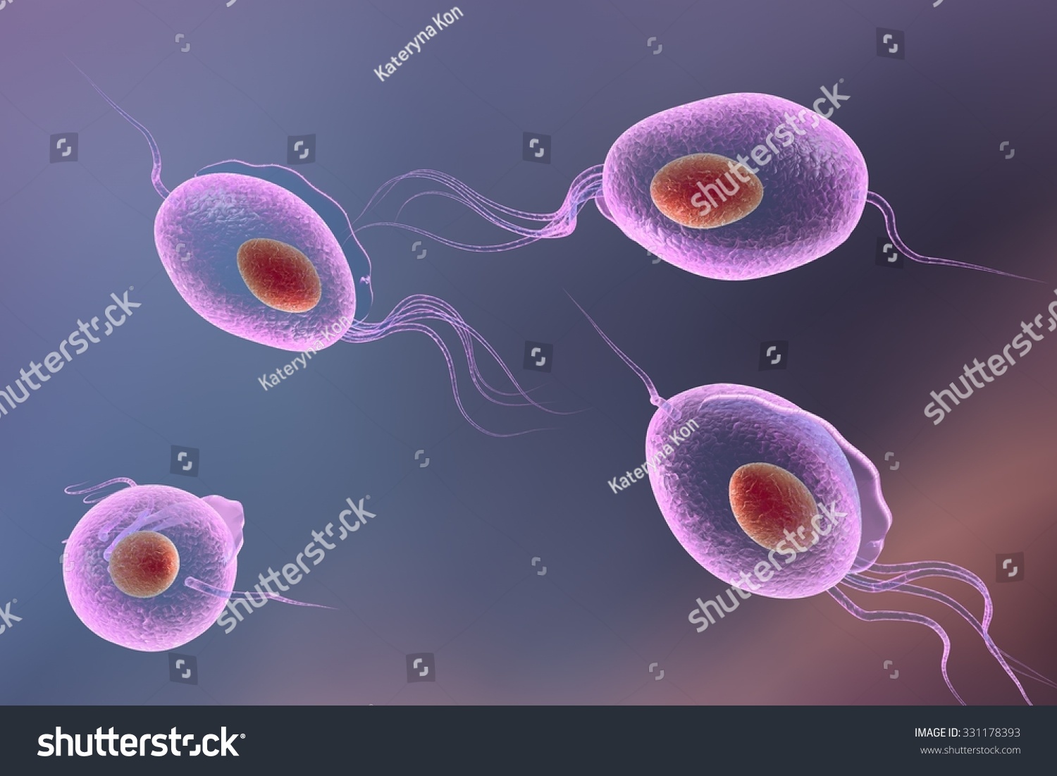 Trichomonas Vaginalis On Colorful Background Sexually Stock Illustration 331178393 Shutterstock 