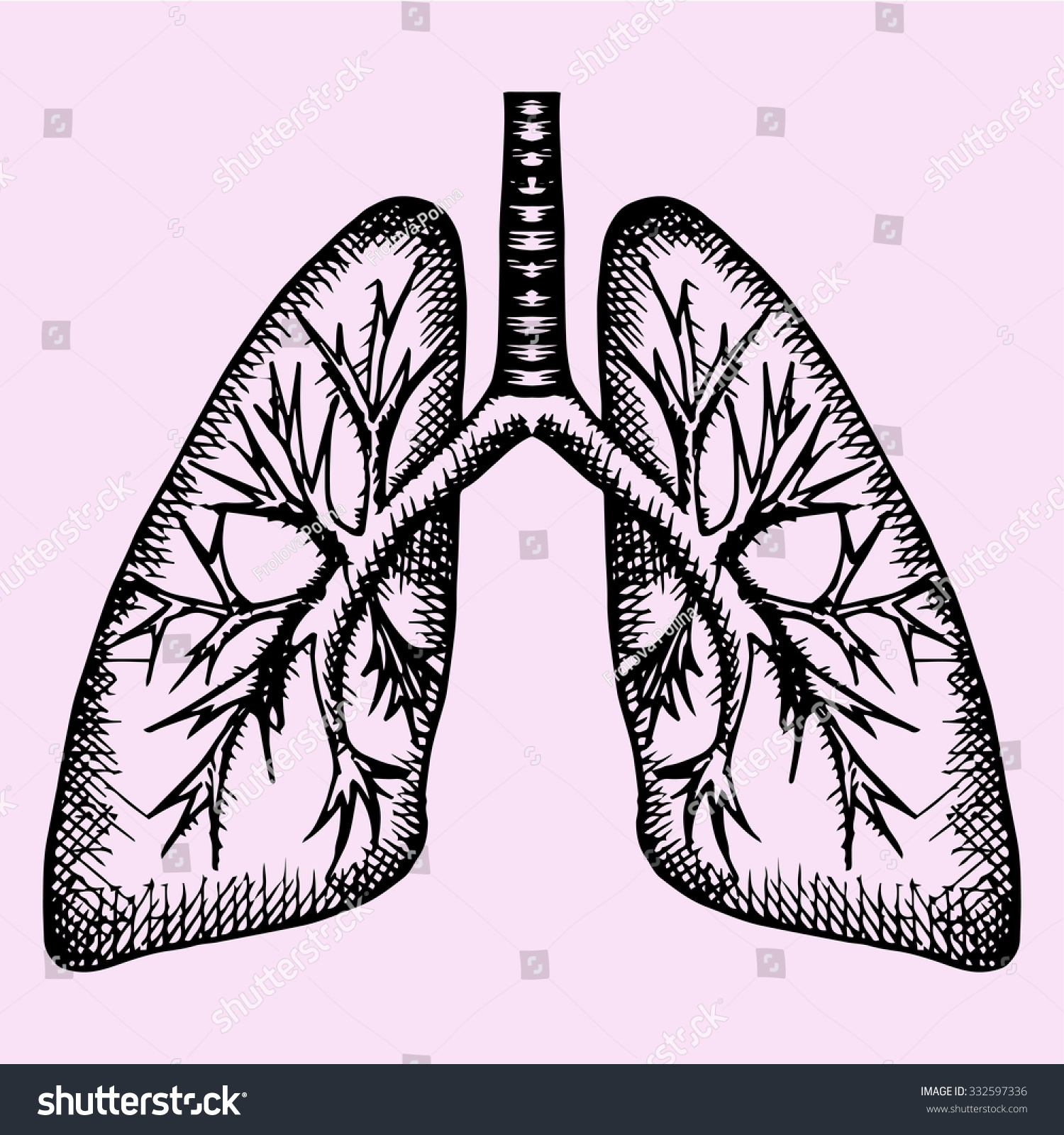 human lungs drawing