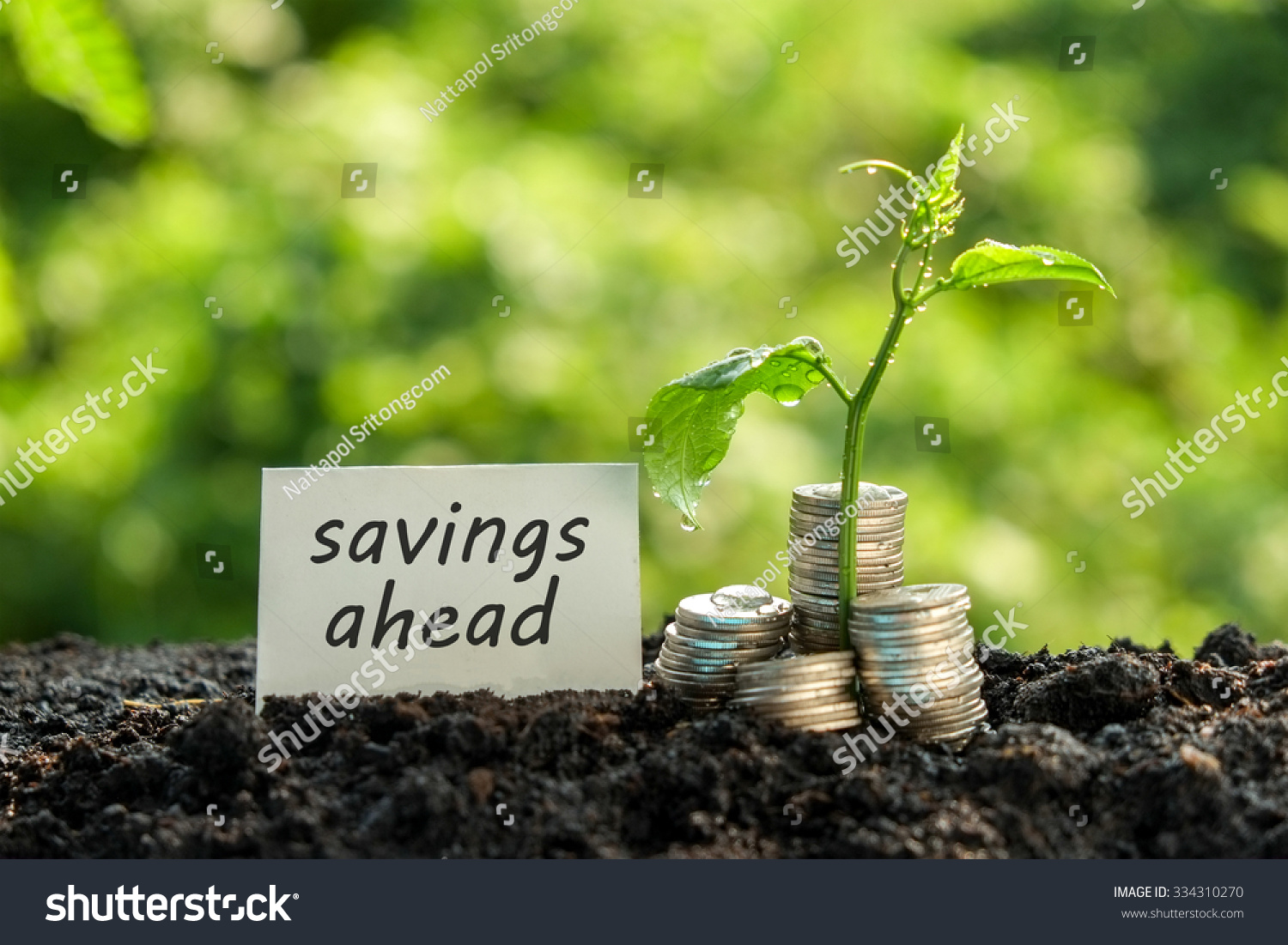 Инвестиции 5. Инвестор. Invest картинки. Savings and investment. Investment savings штамп.