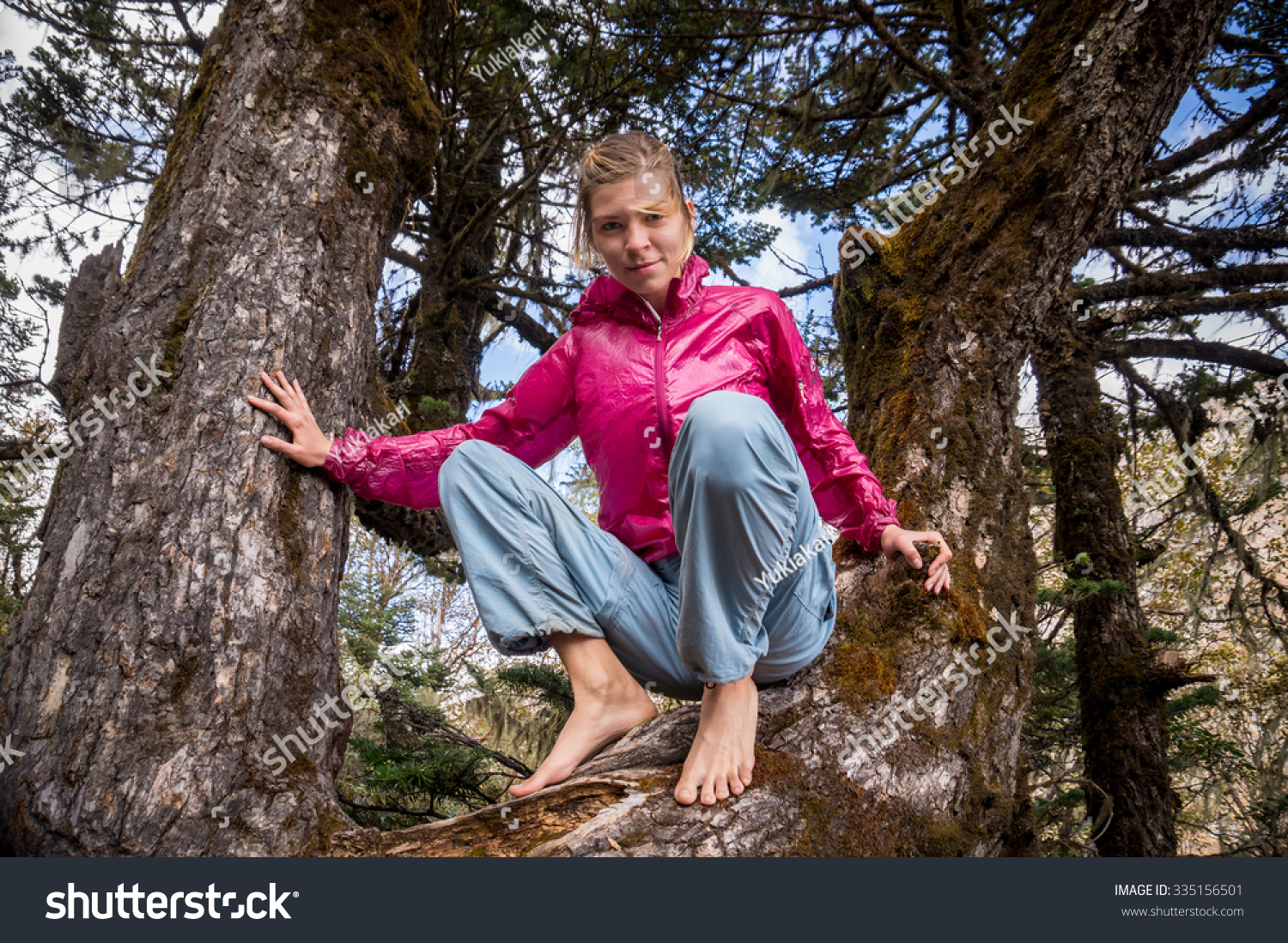 https://image.shutterstock.com/shutterstock/photos/335156501/display_1500/stock-photo-a-young-girl-with-bare-feet-sitting-on-a-tree-branch-335156501.jpg