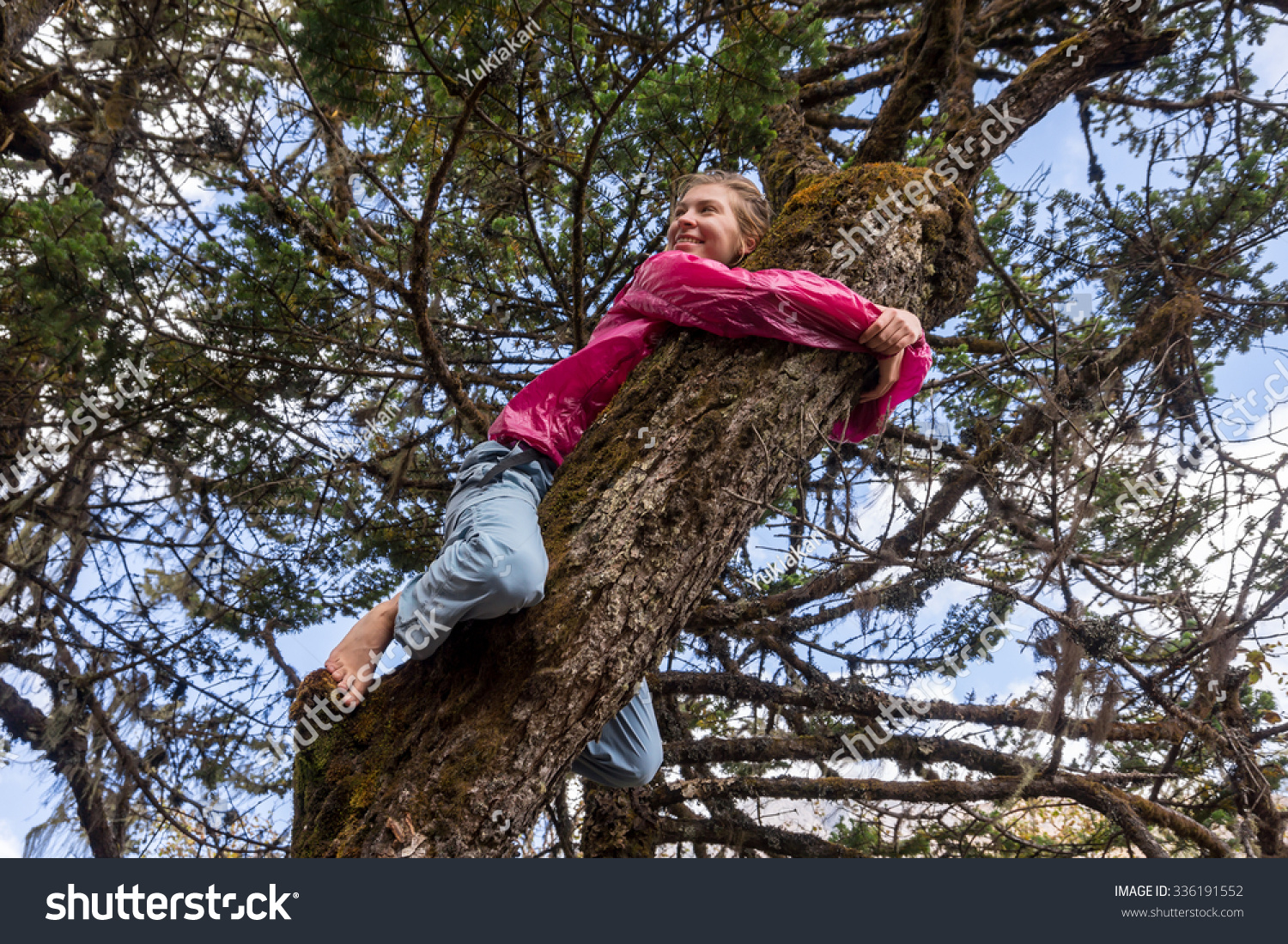 https://image.shutterstock.com/shutterstock/photos/336191552/display_1500/stock-photo-a-happy-young-girl-with-bare-feet-climbing-a-tree-336191552.jpg