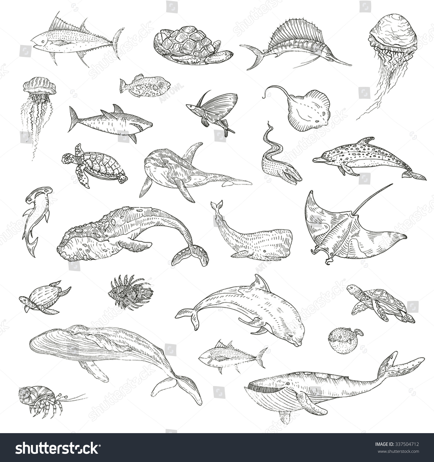 Vector Illustration Hand Drawing Whales Dolphins Stock Vector (Royalty ...