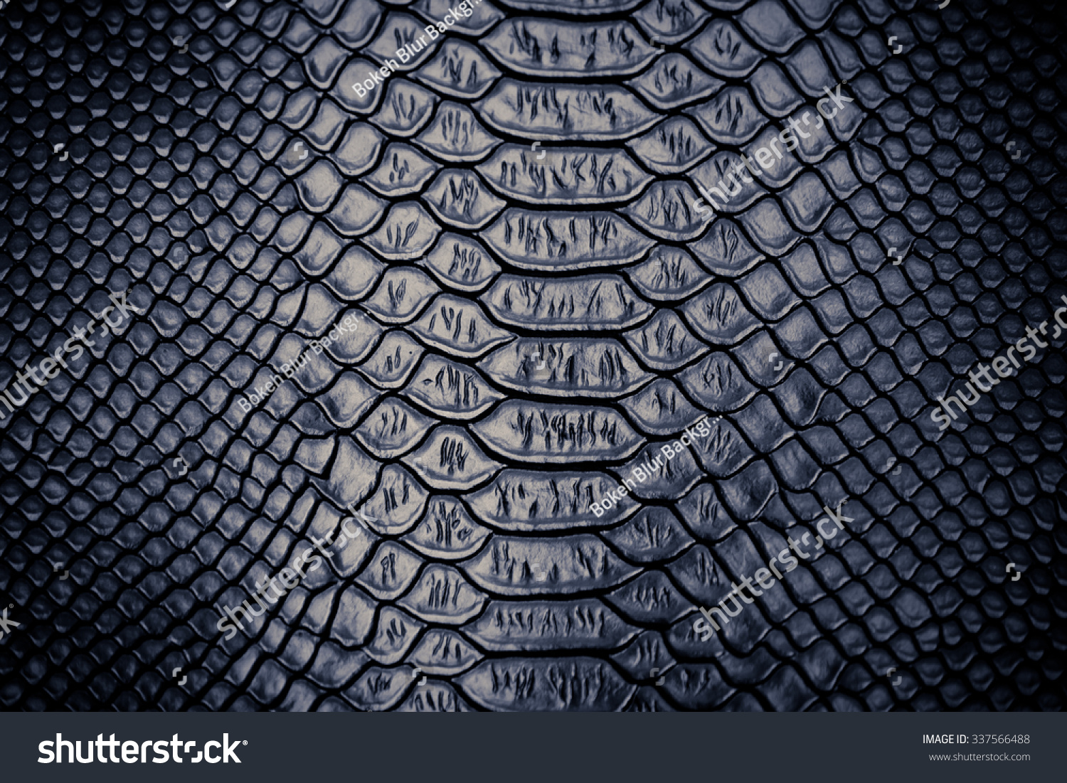 Close Snake Skin Texture Use Background Stock Photo 337566488 ...