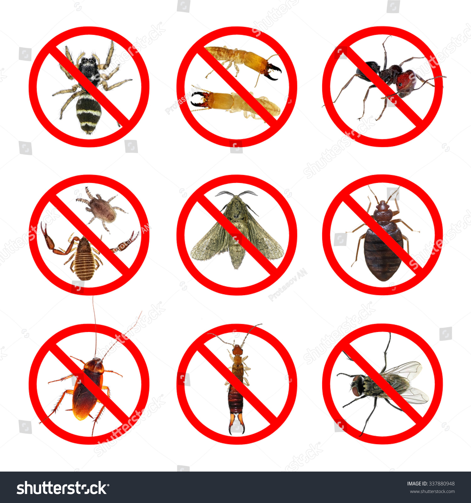 Pest Insects Prohibition Sign Moth Fly Stock Photo 337880948 | Shutterstock