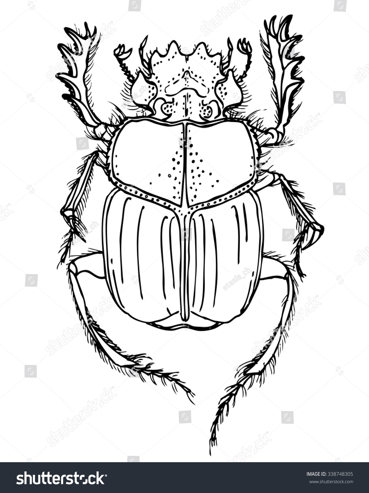 Изображение жука скарабея
