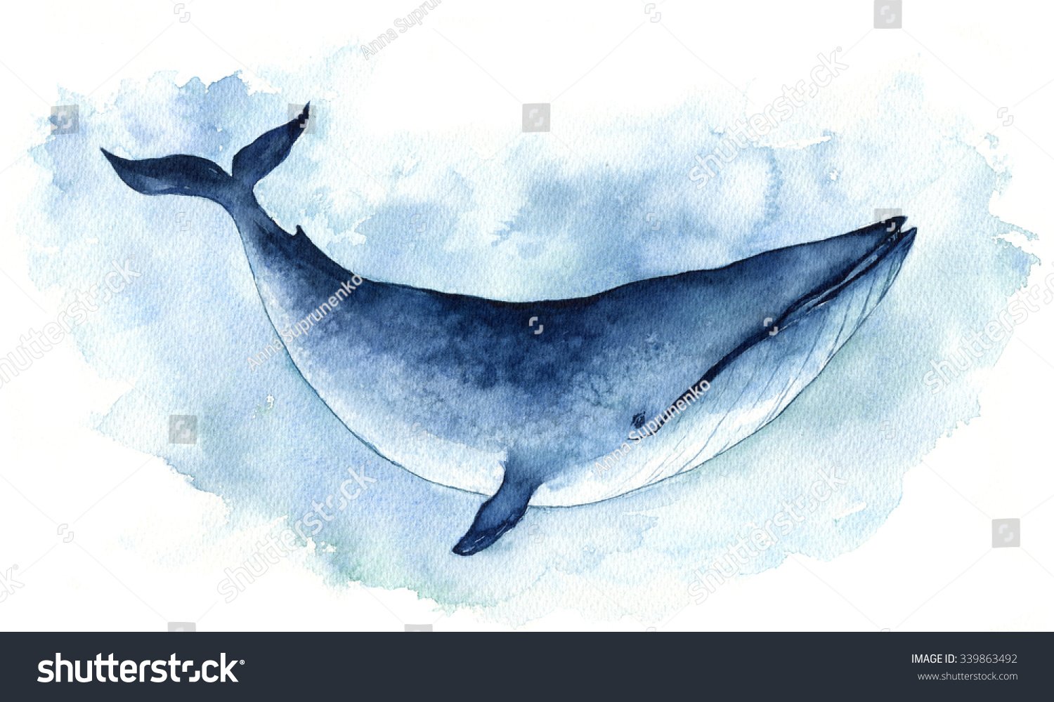 Большой синий кит акварелью