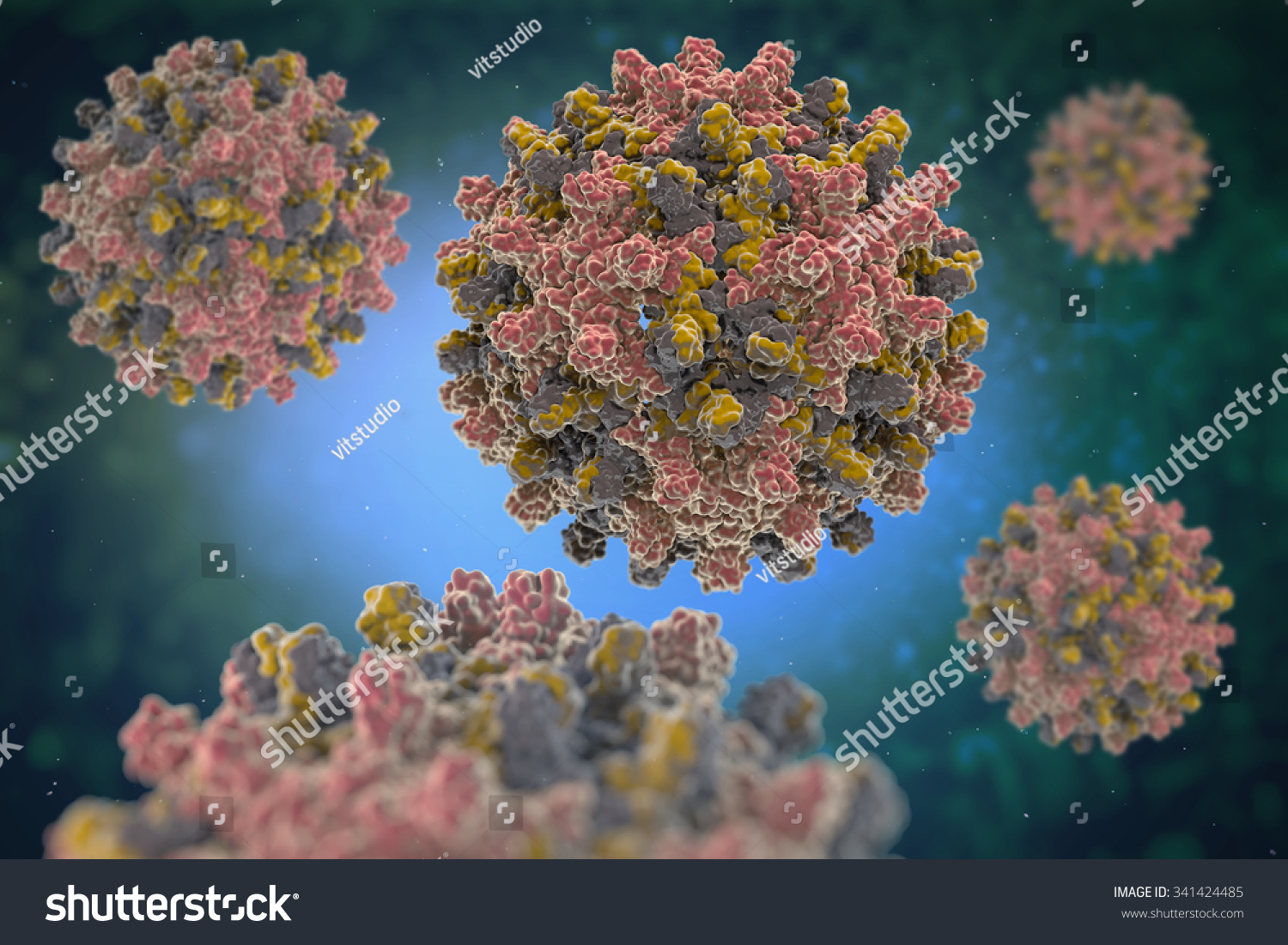 Hepatitis-B-Virus. Struktur Des Hepatitis-B-Virus (HBV) (PDB ...