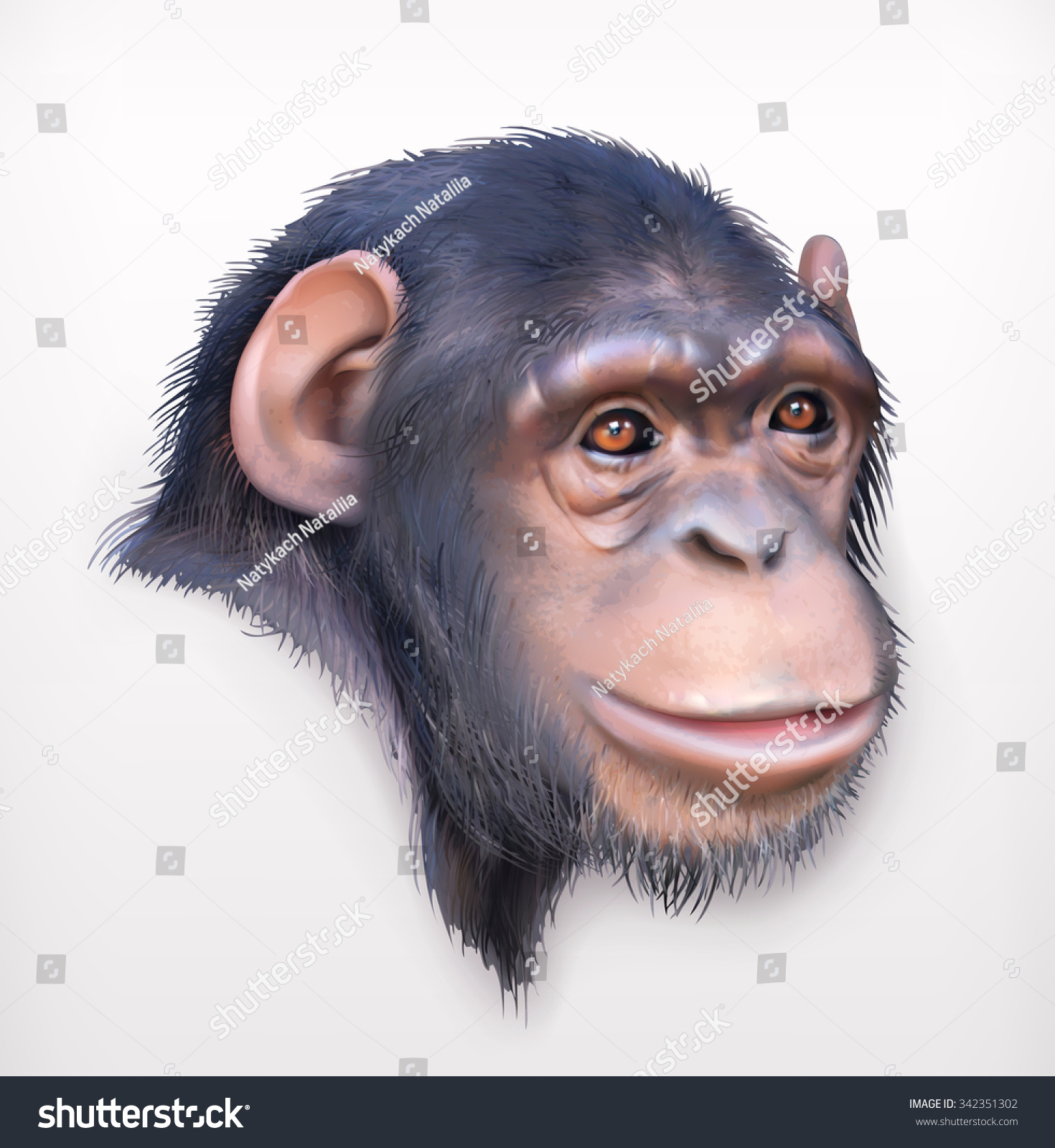Chimpanzee Head Realistic Vector Illustration Stock Vector Royalty Free Shutterstock