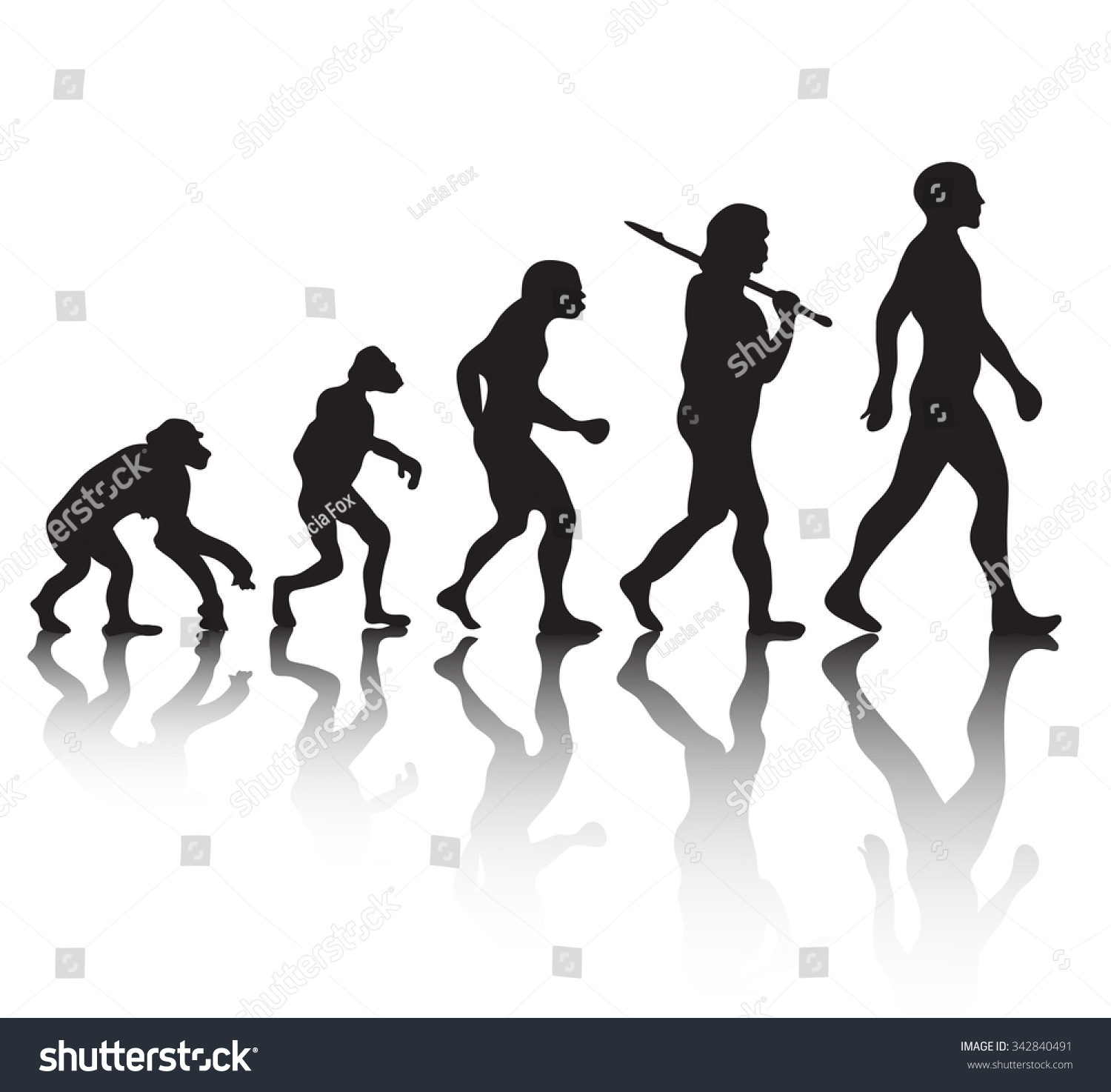 Evolution Stock Vector (Royalty Free) 342840491 | Shutterstock