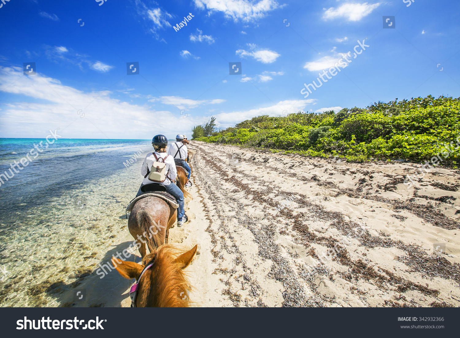 People Riding On Horse Back Caribbean Stock Photo 342932366 | Shutterstock