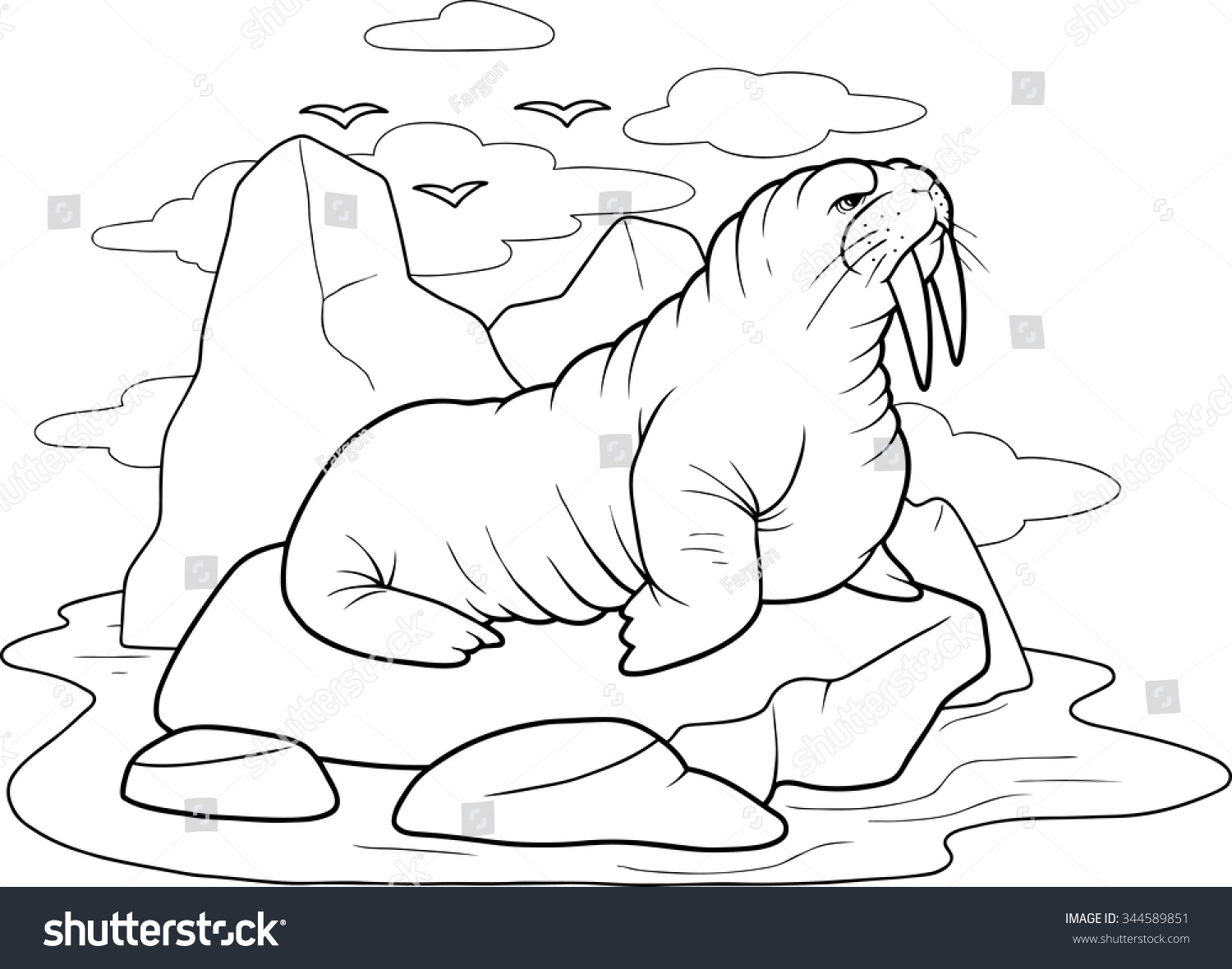 Раскраска морж на льдине
