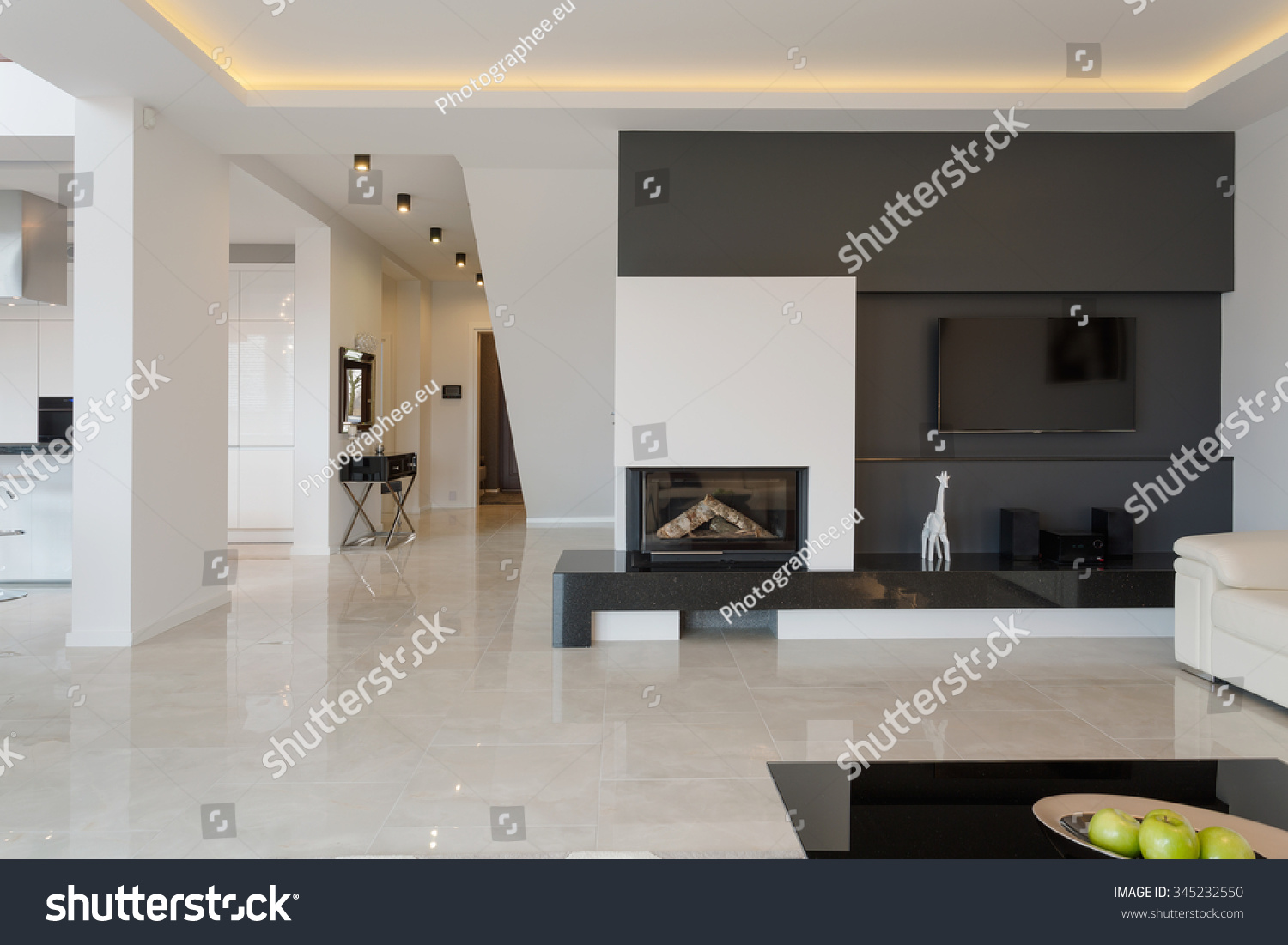 Modern House Minimalistic Black White Design Stock Photo 345232550