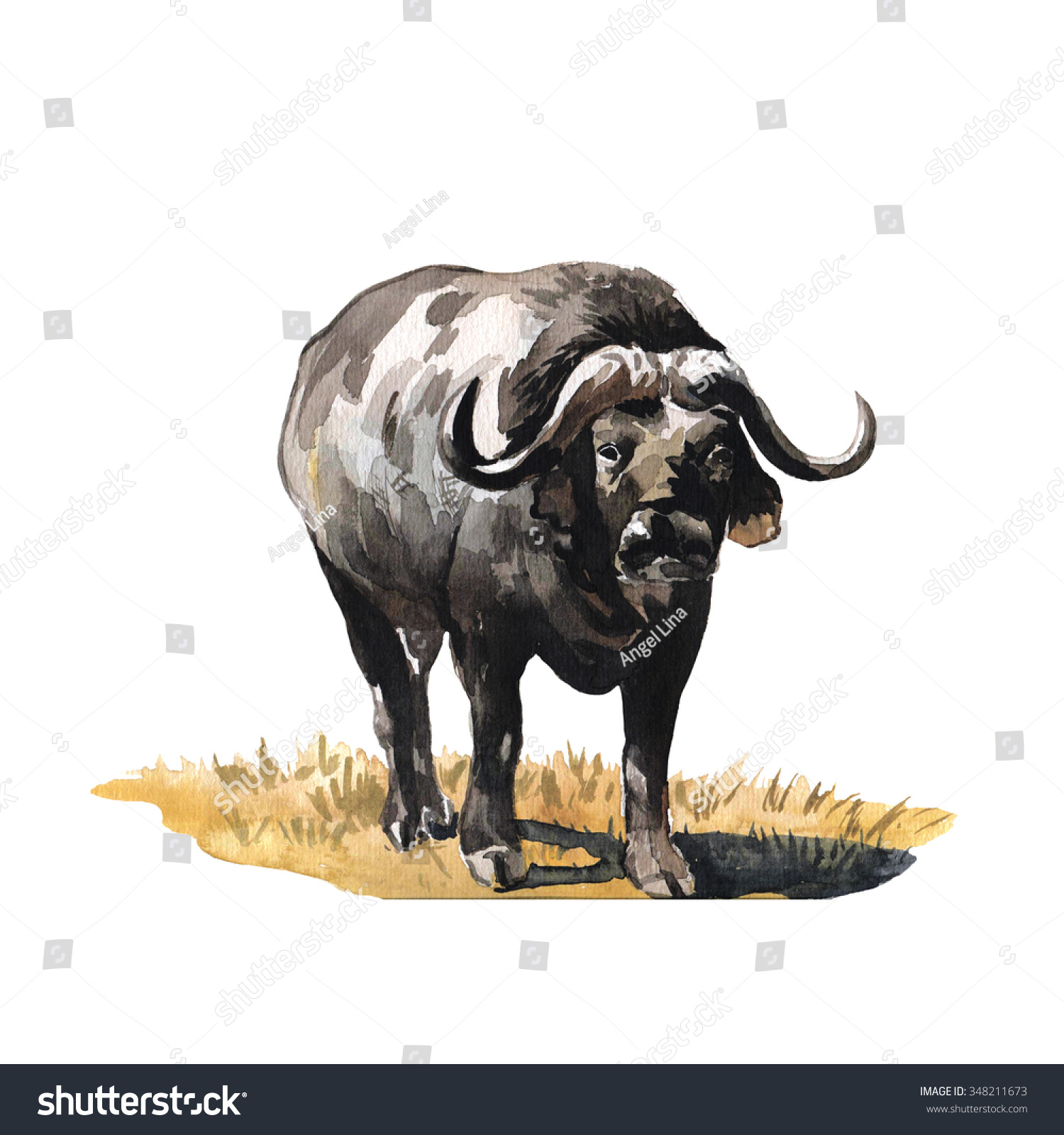 Африканский буйвол арт