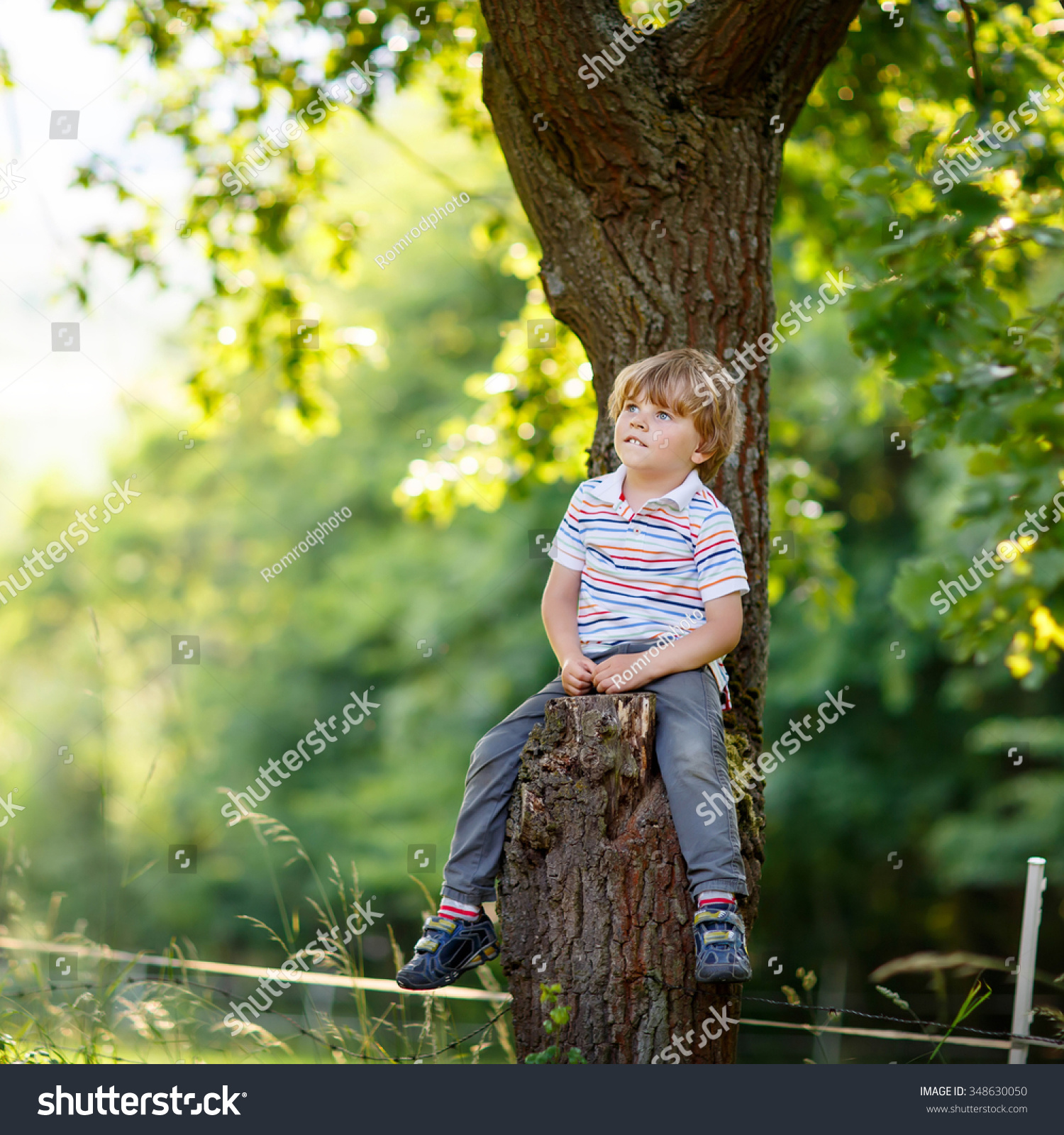 Cute Little Kid Boy Enjoying Climbing Stock Photo 348630050 | Shutterstock