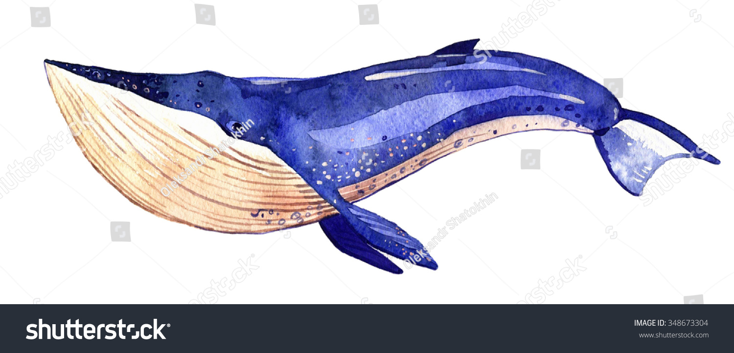Синий кит на белом фоне