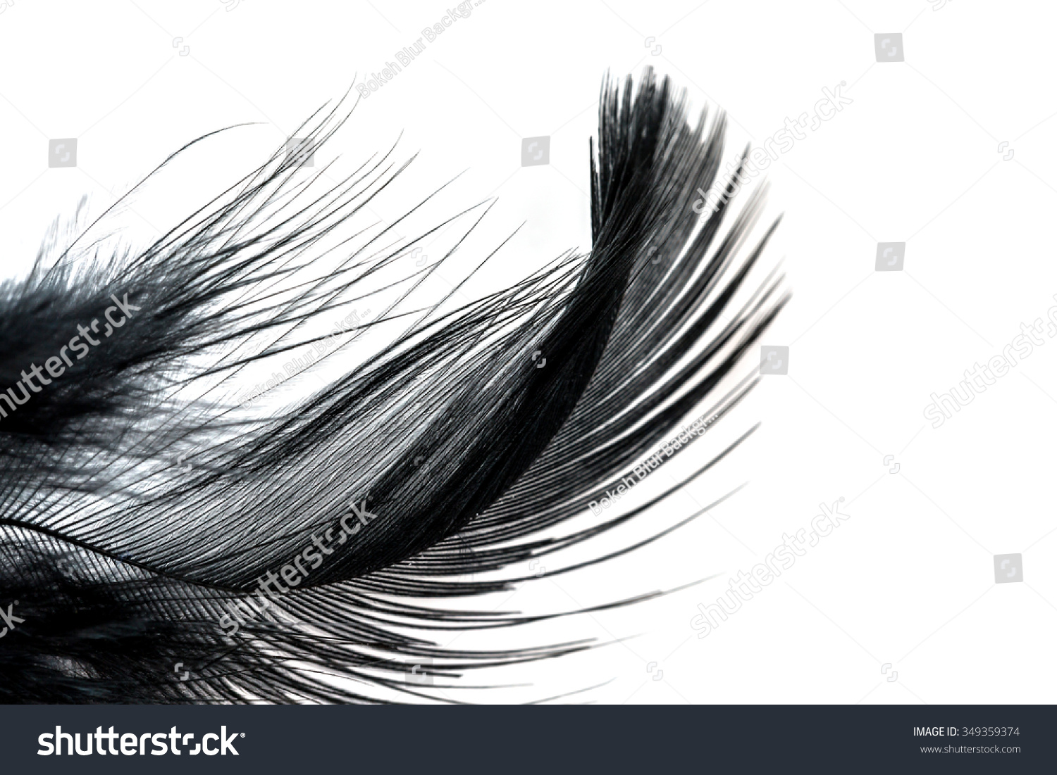 Абстракция перья черно белая