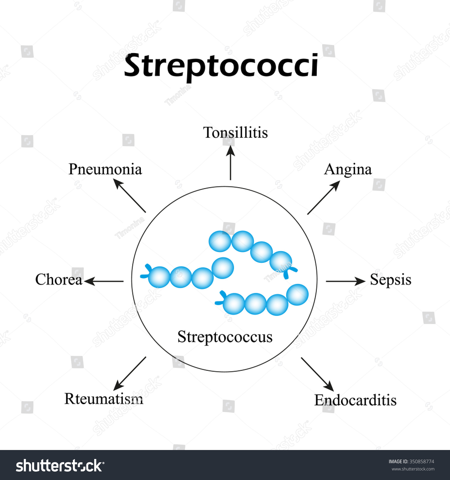 streptococci