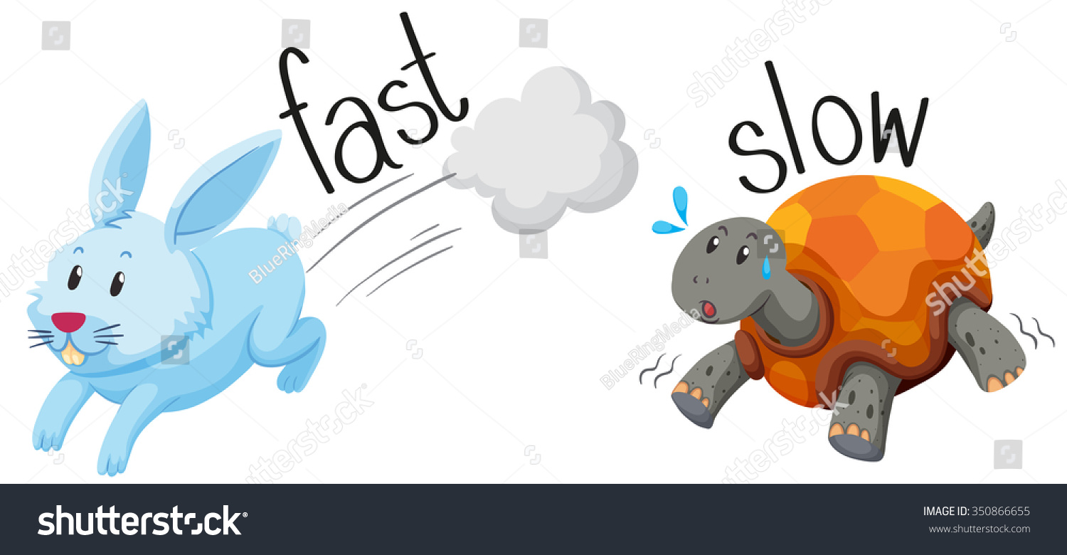 181 Opposite fast slow Images, Stock Photos & Vectors | Shutterstock