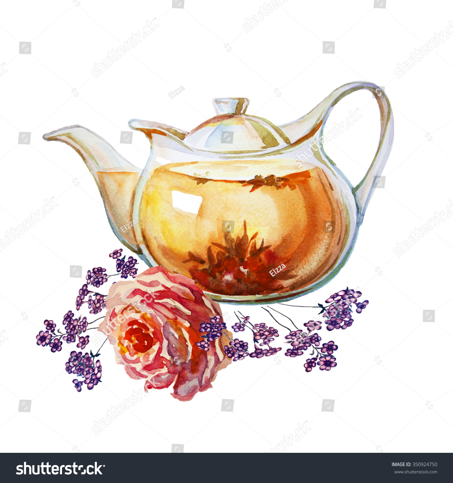 Teapot Watercolor