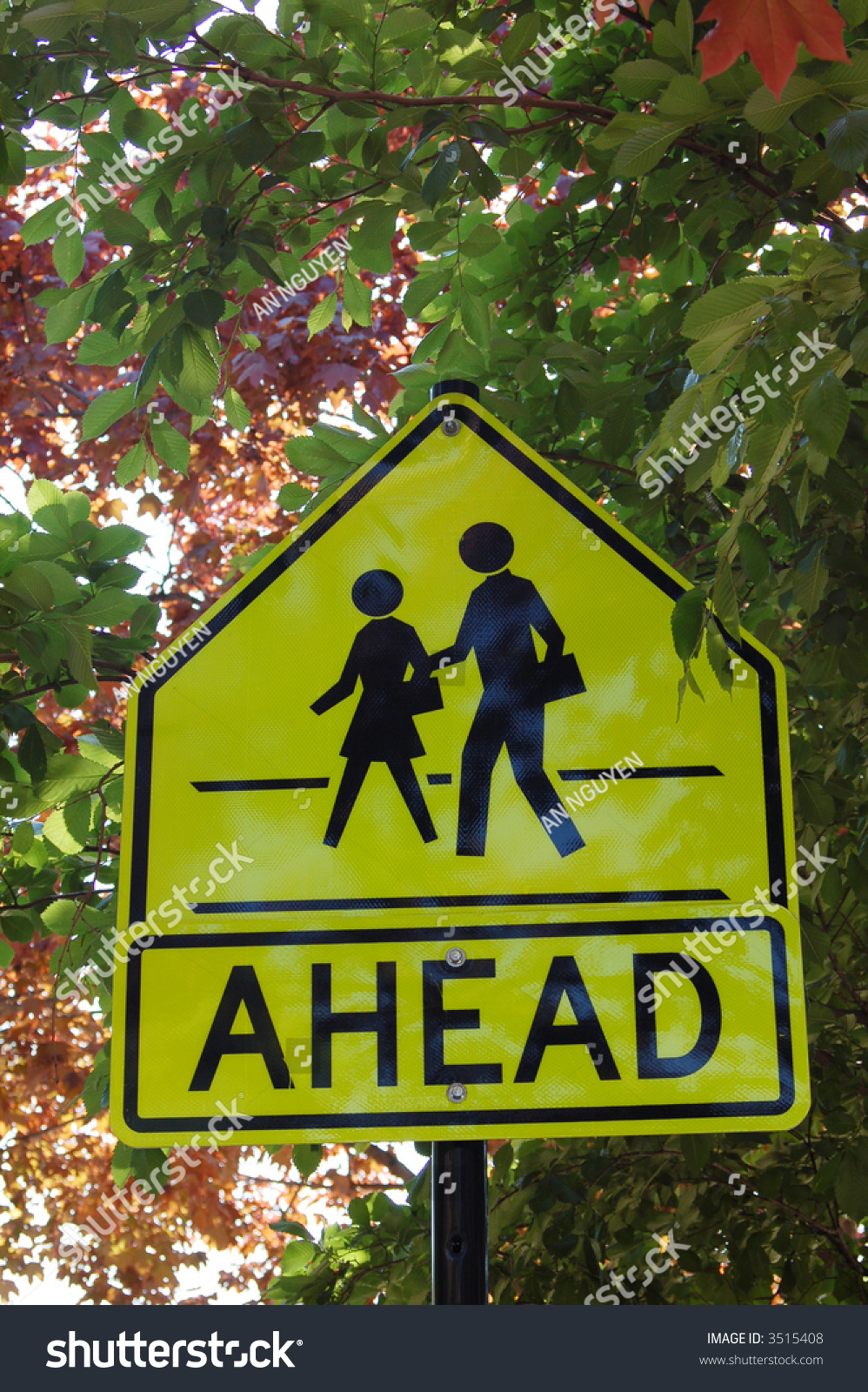 School Crossing Ahead Traffic Sign Stock Photo 3515408 | Shutterstock