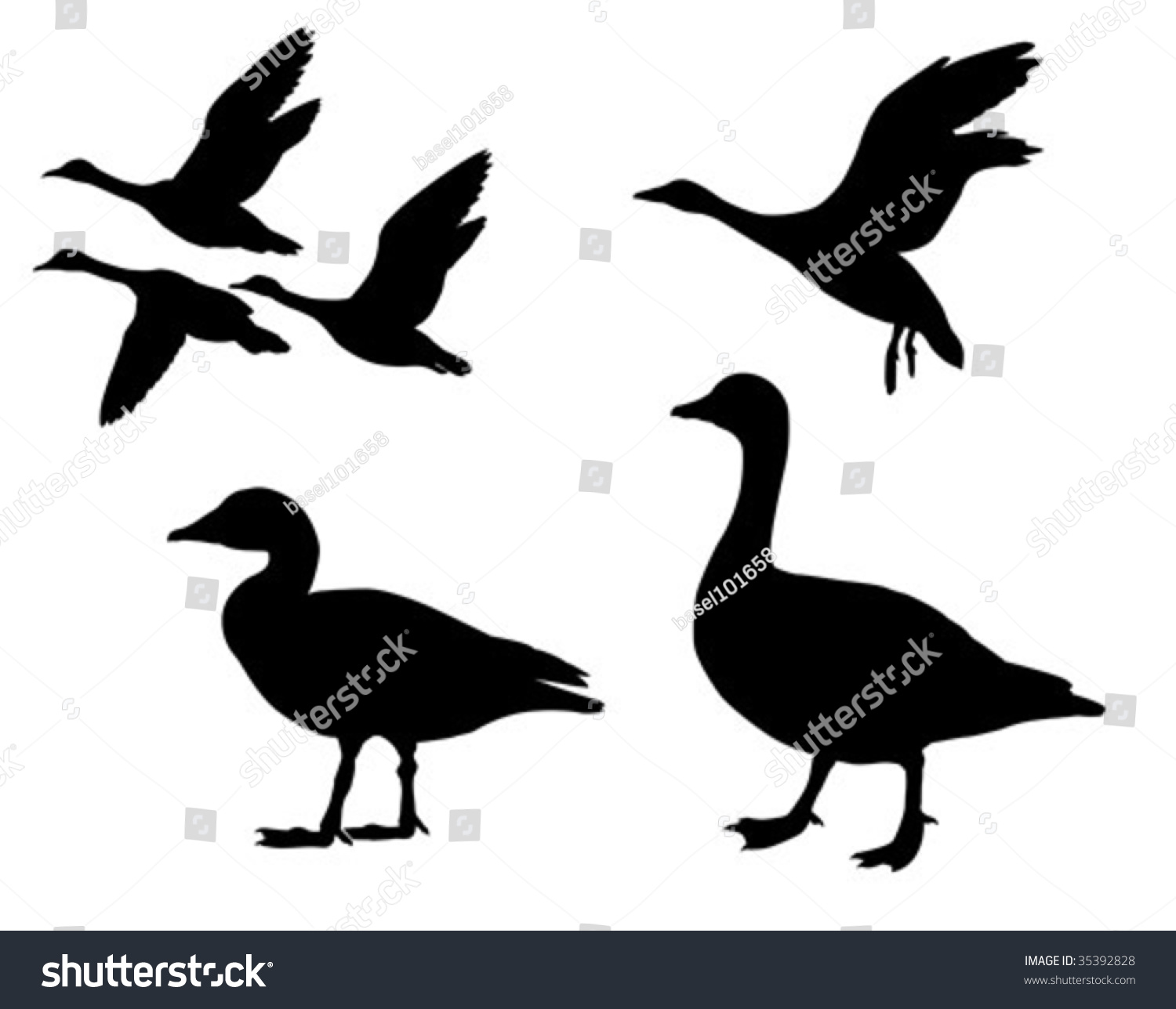 Vector Silhouette Geese On White Background Stock Vector (Royalty Free ...