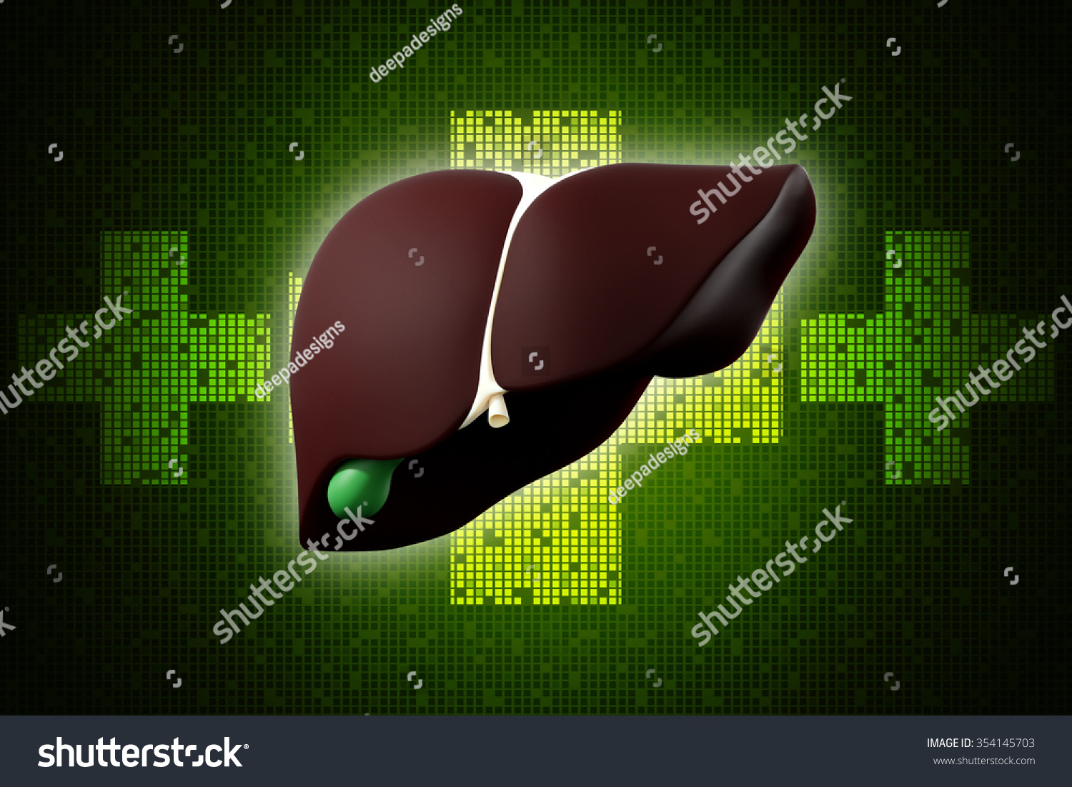 3d Human Liver Gallbladder Stock Illustration 354145703 | Shutterstock