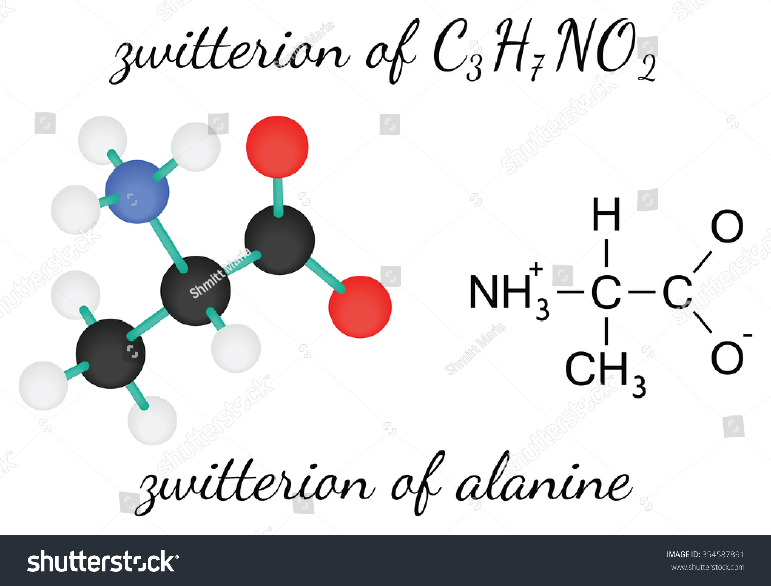 C3h7no2 Zwitterion Alanine 3d Amino Acid Stock Vector (royalty Free 