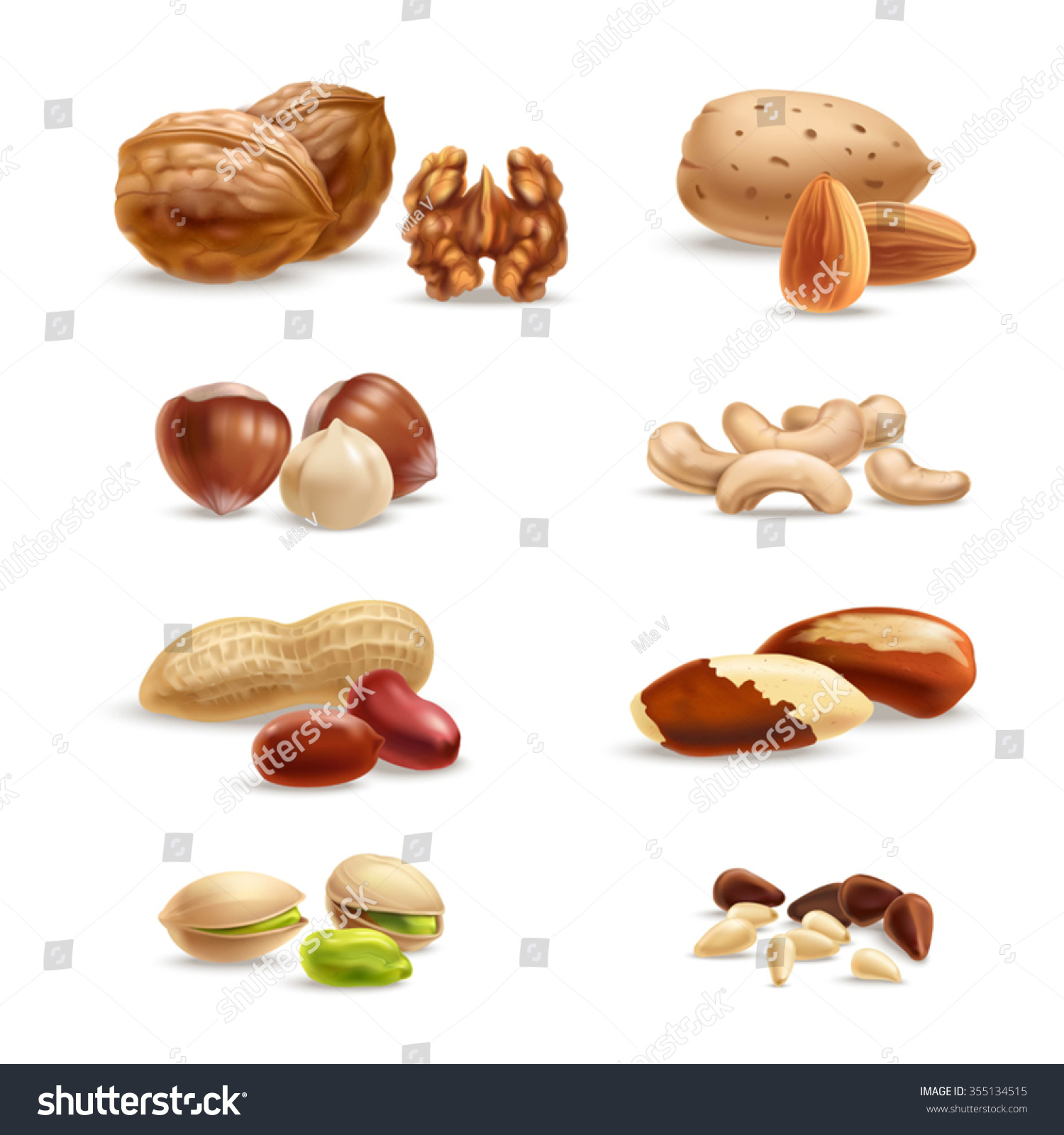 Nuts Stock Vector (royalty Free) 355134515 