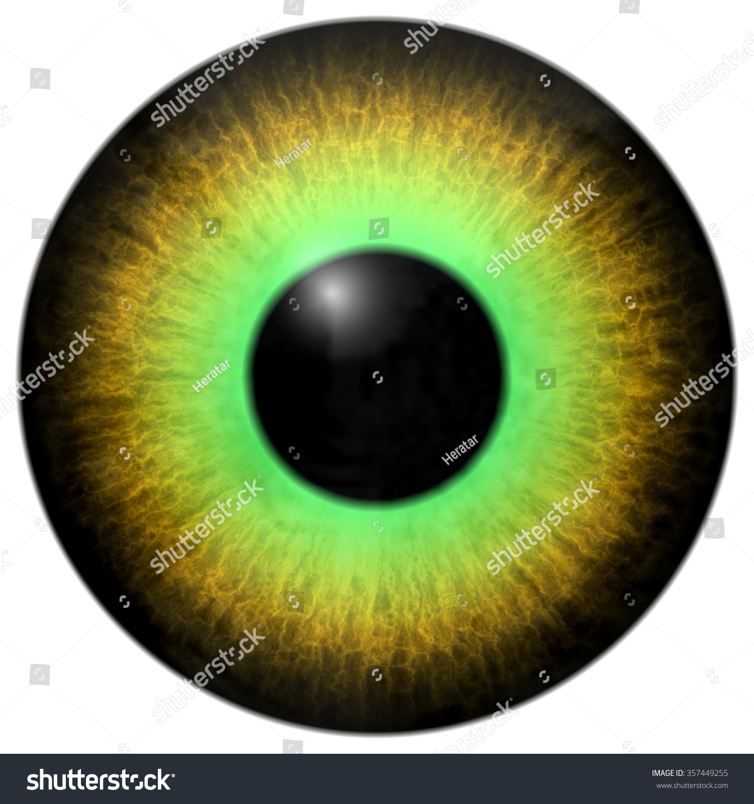 Green Brown Eye Iris Texture Stock Illustration 357449255 | Shutterstock