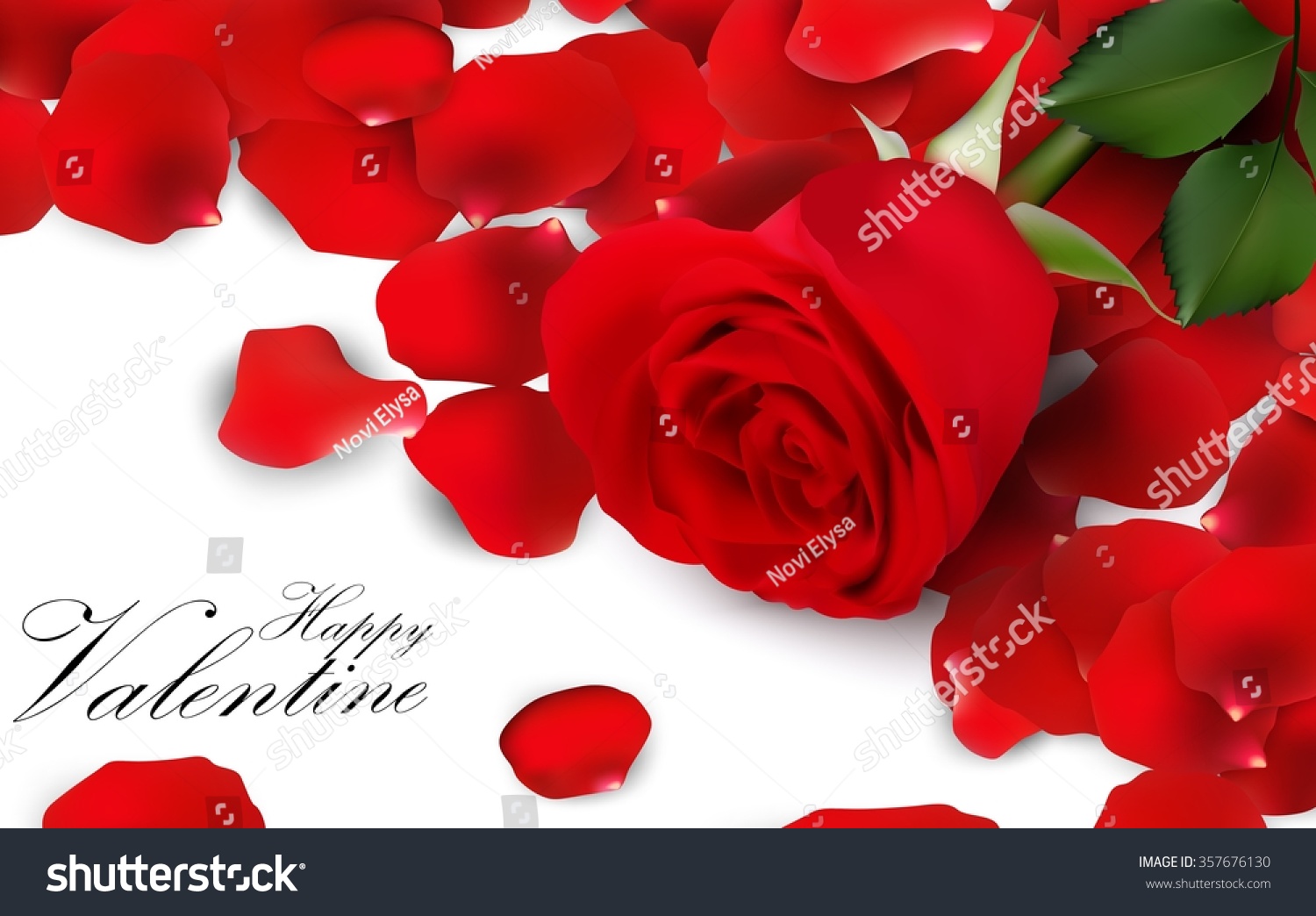 Red Roses Rose Petals On White Stock Illustration 357676130 | Shutterstock