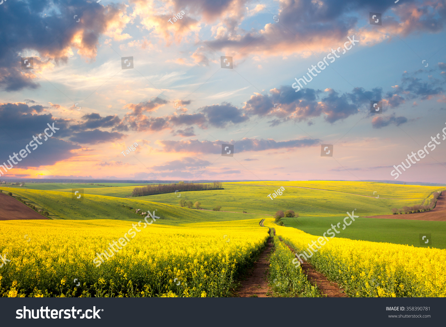 156,555 Golden land farm Images, Stock Photos & Vectors | Shutterstock